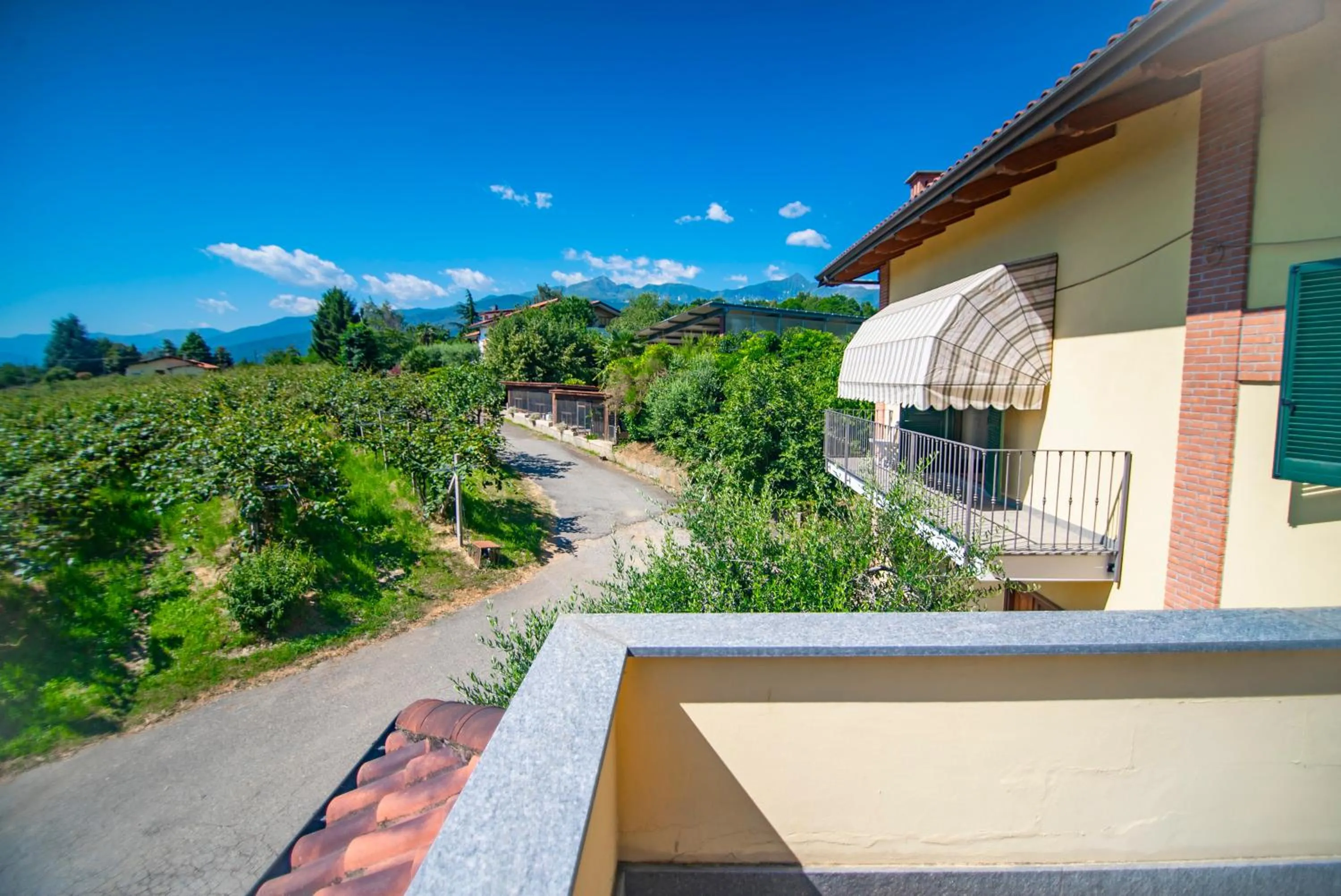 Natural landscape in Agriturismo Turina