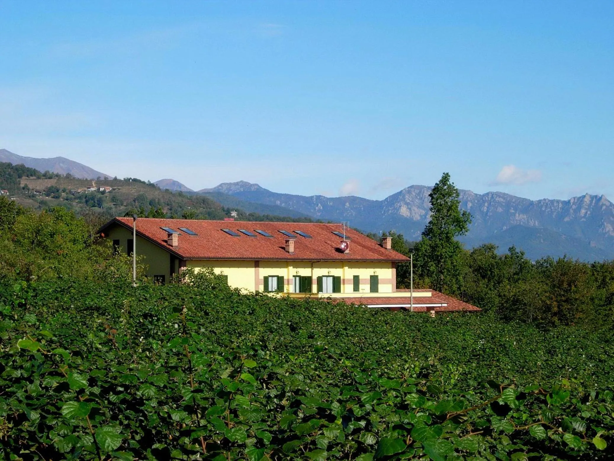 Natural landscape in Agriturismo Turina