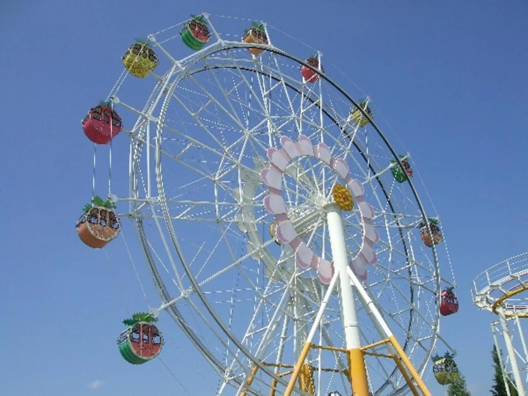 Kobe Hotel Fruit Flower