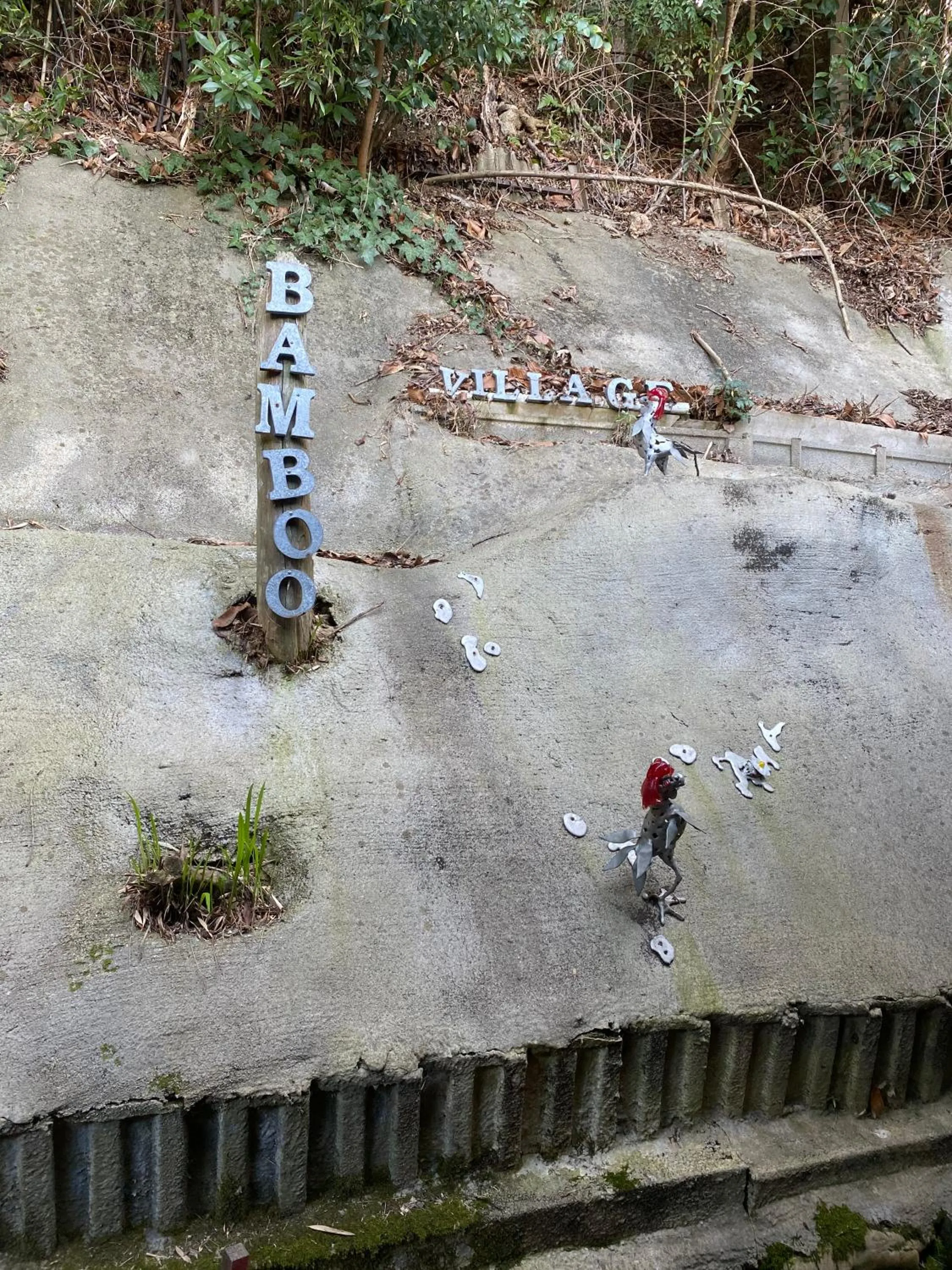 Day in Bamboo Village Guest House