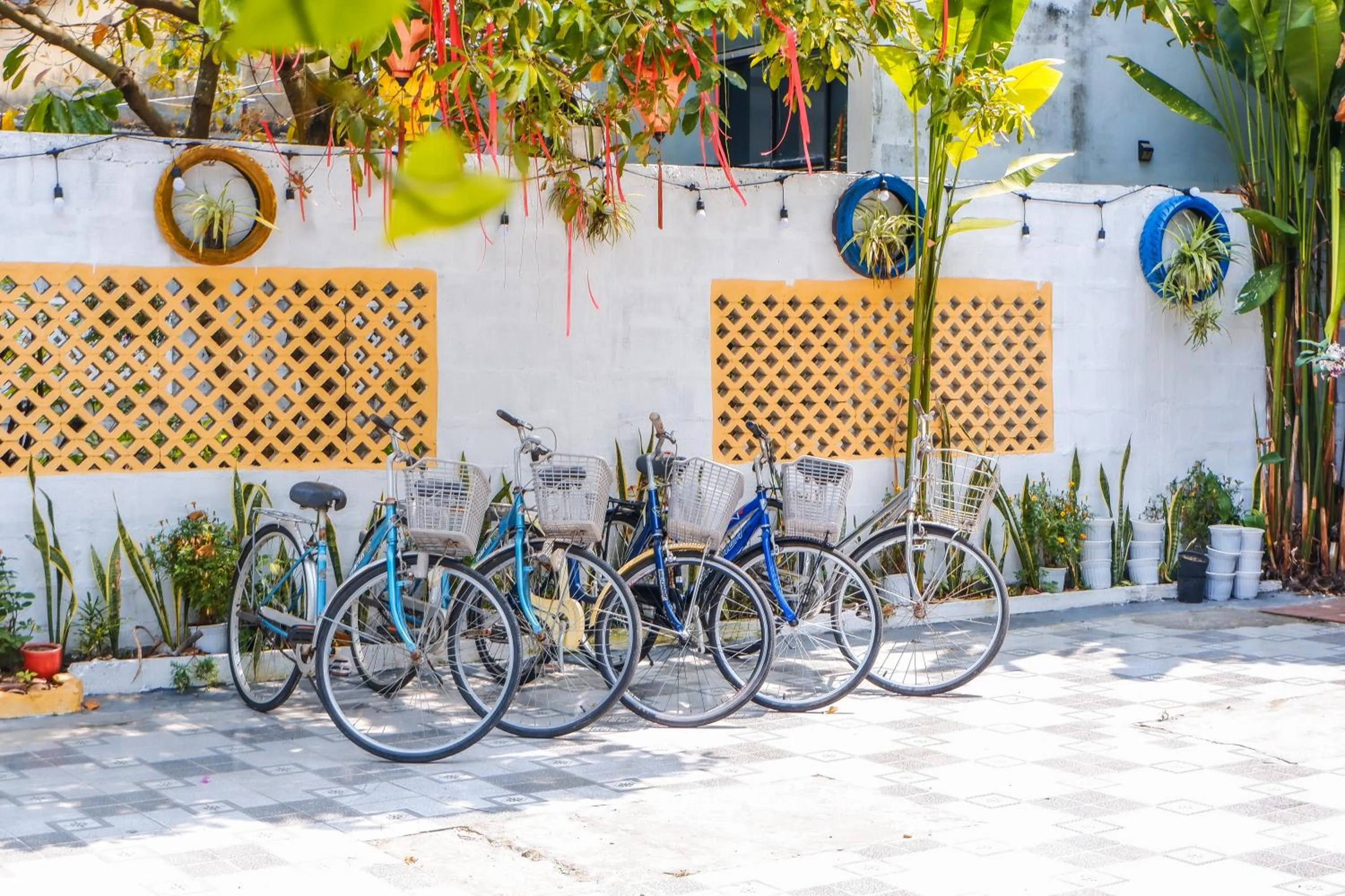 Cycling in Oleander Garden Homestay