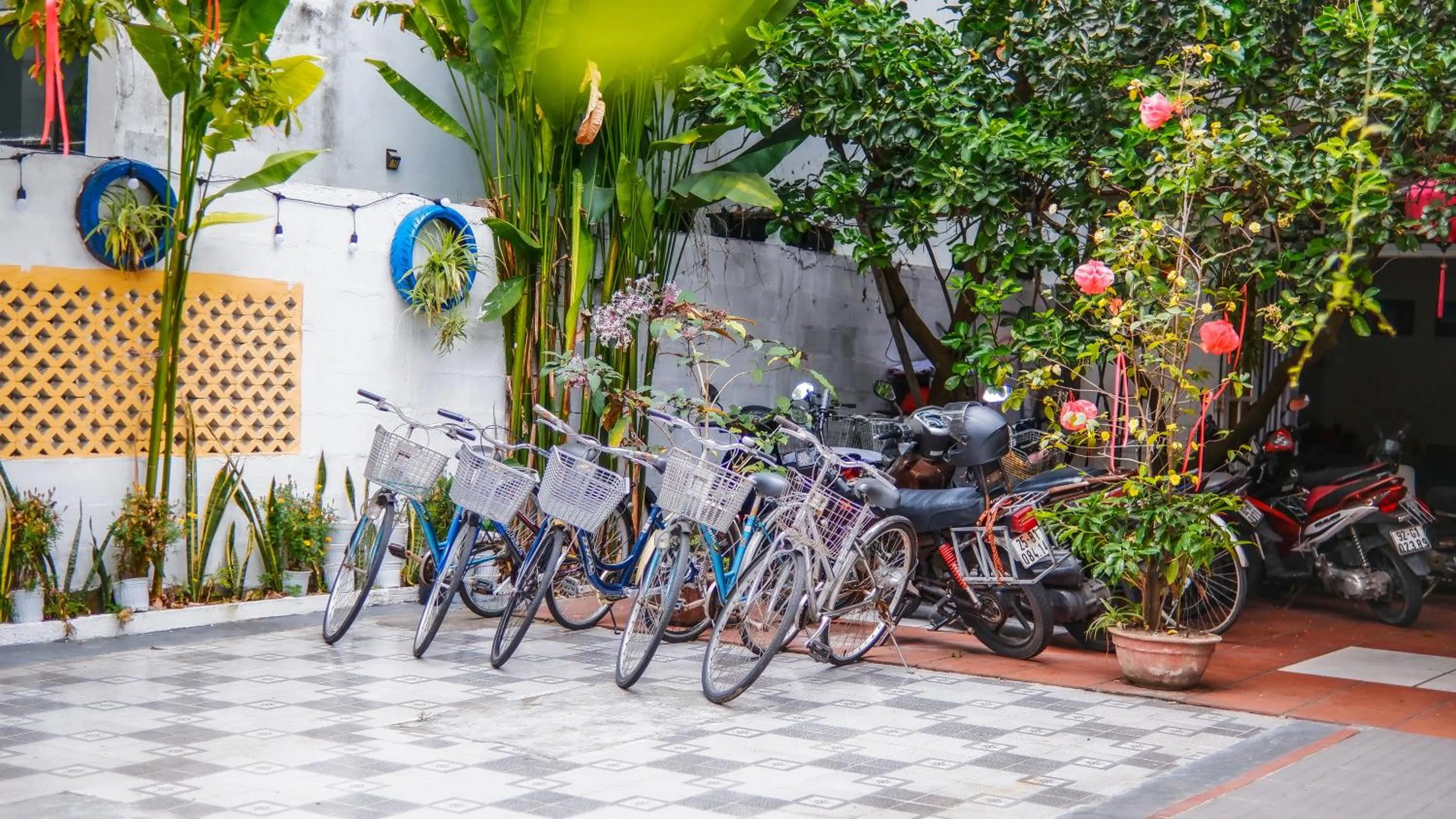 Cycling in Oleander Garden Homestay