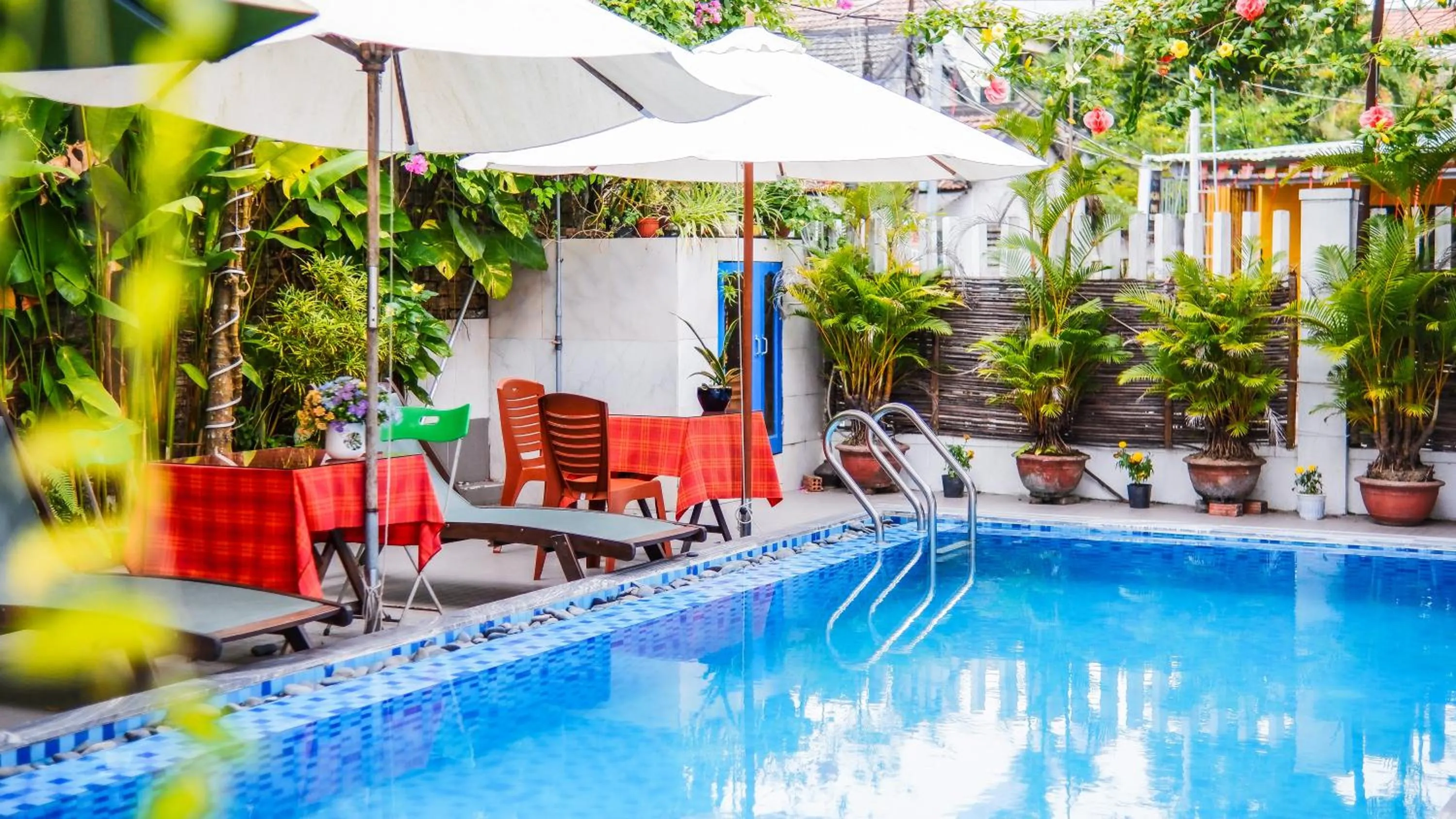 Garden in Oleander Garden Homestay