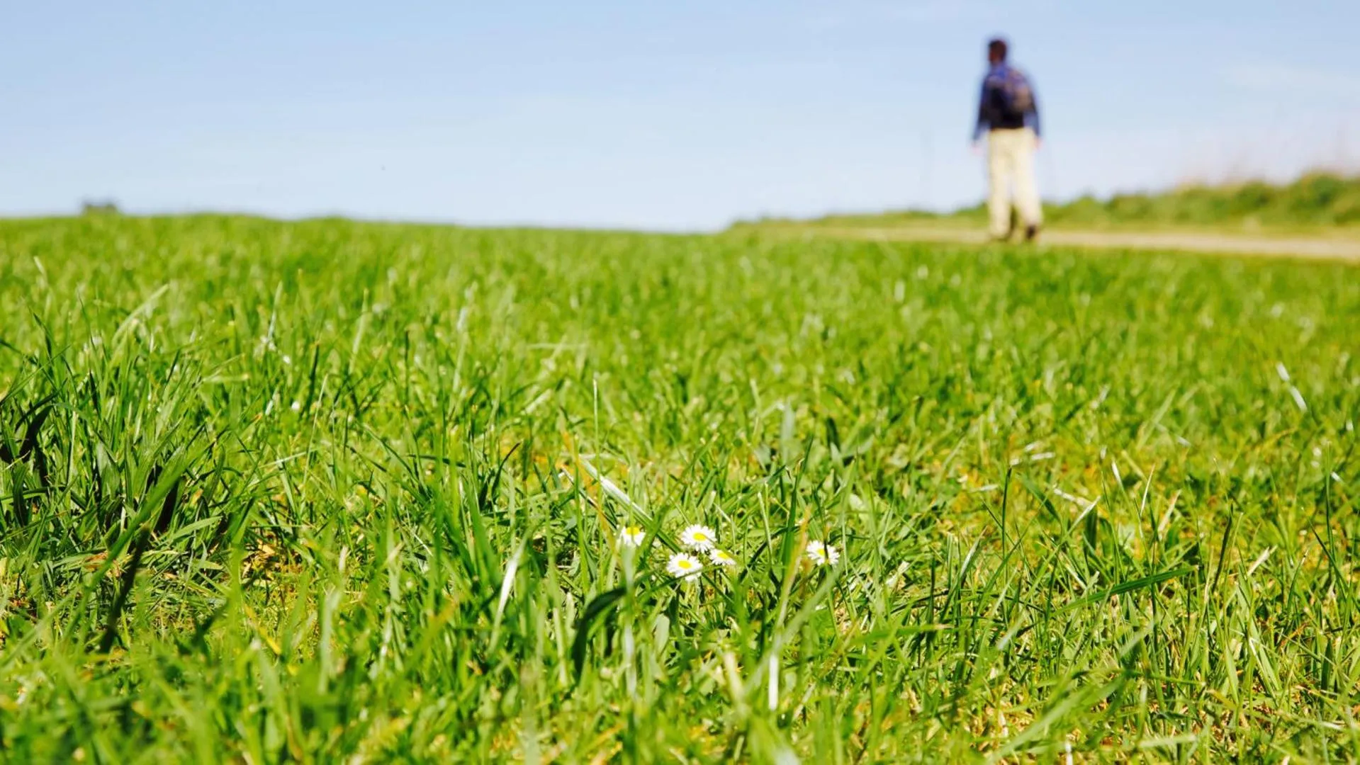 Hiking in Ideas Peregrinas