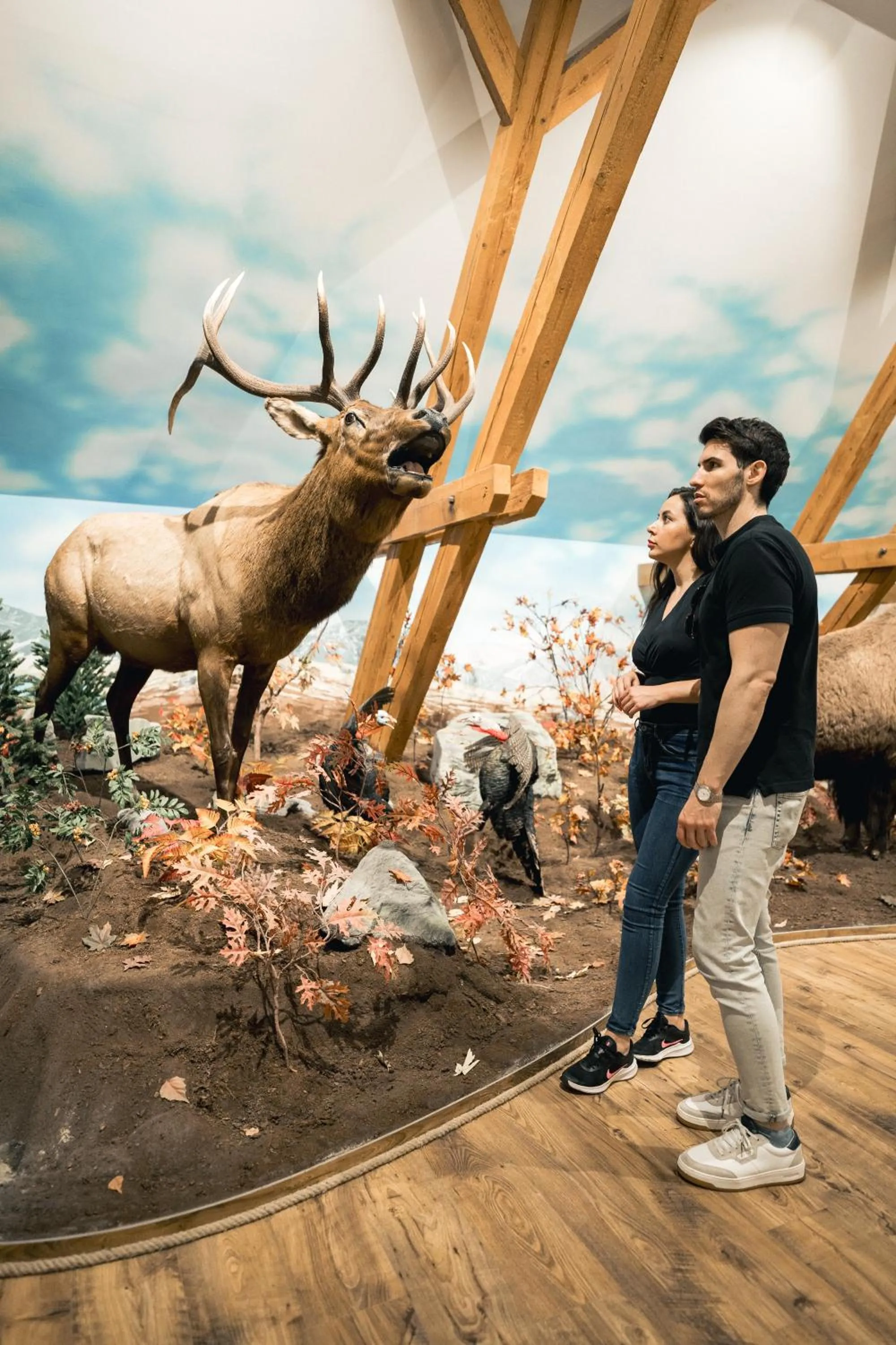 Nearby landmark in Hunor Hotel és Étterem