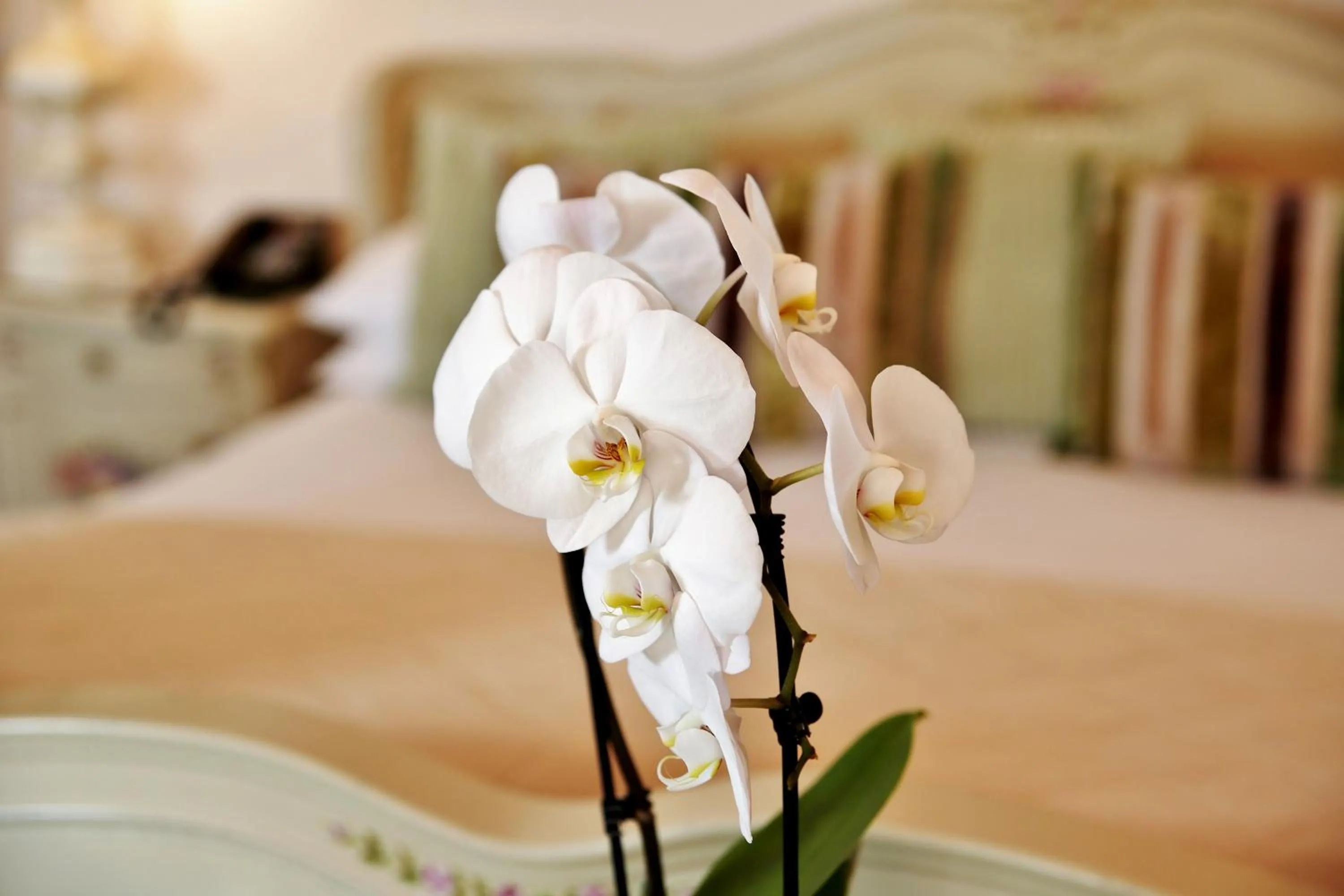 Decorative detail, Bed in The Inglenook Hotel