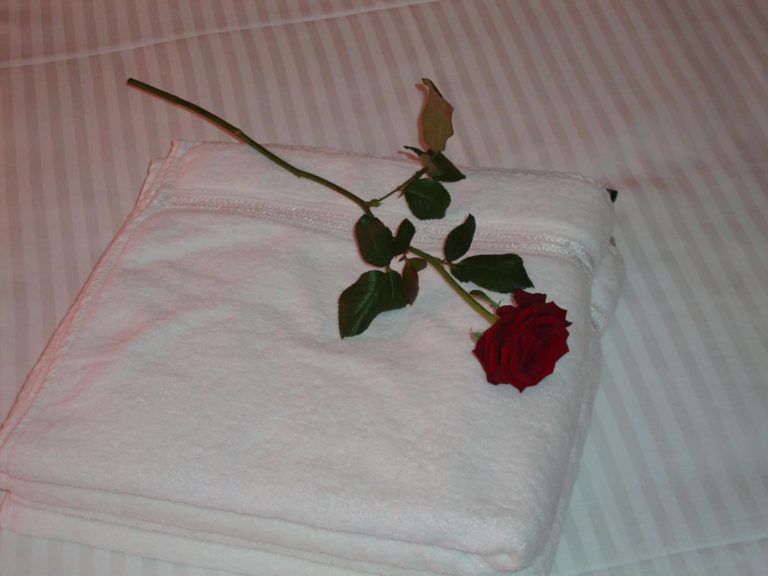 towels, Bed in Hotel Eikenhof