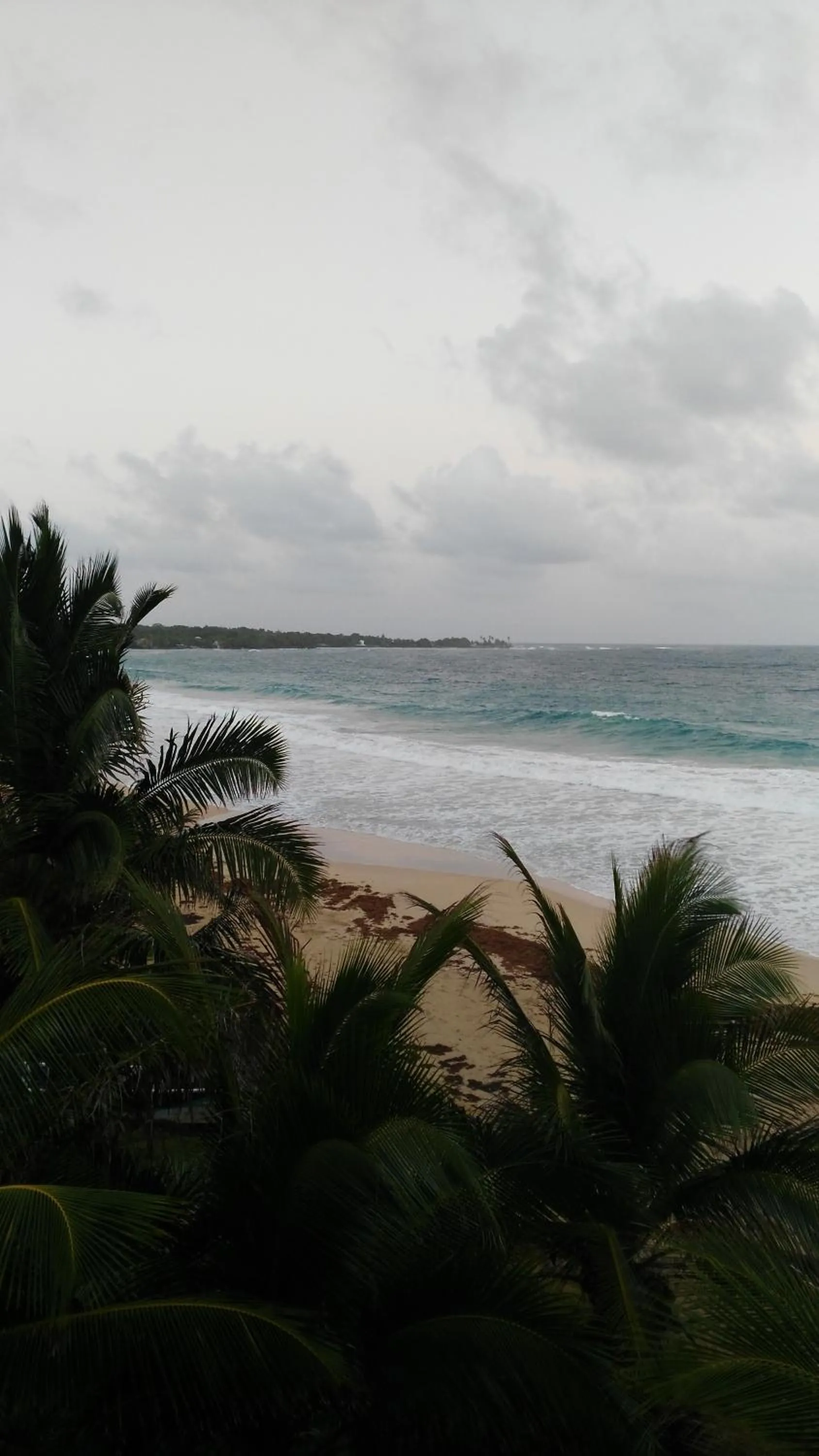 Corn Island Hostal ALAL SUITE