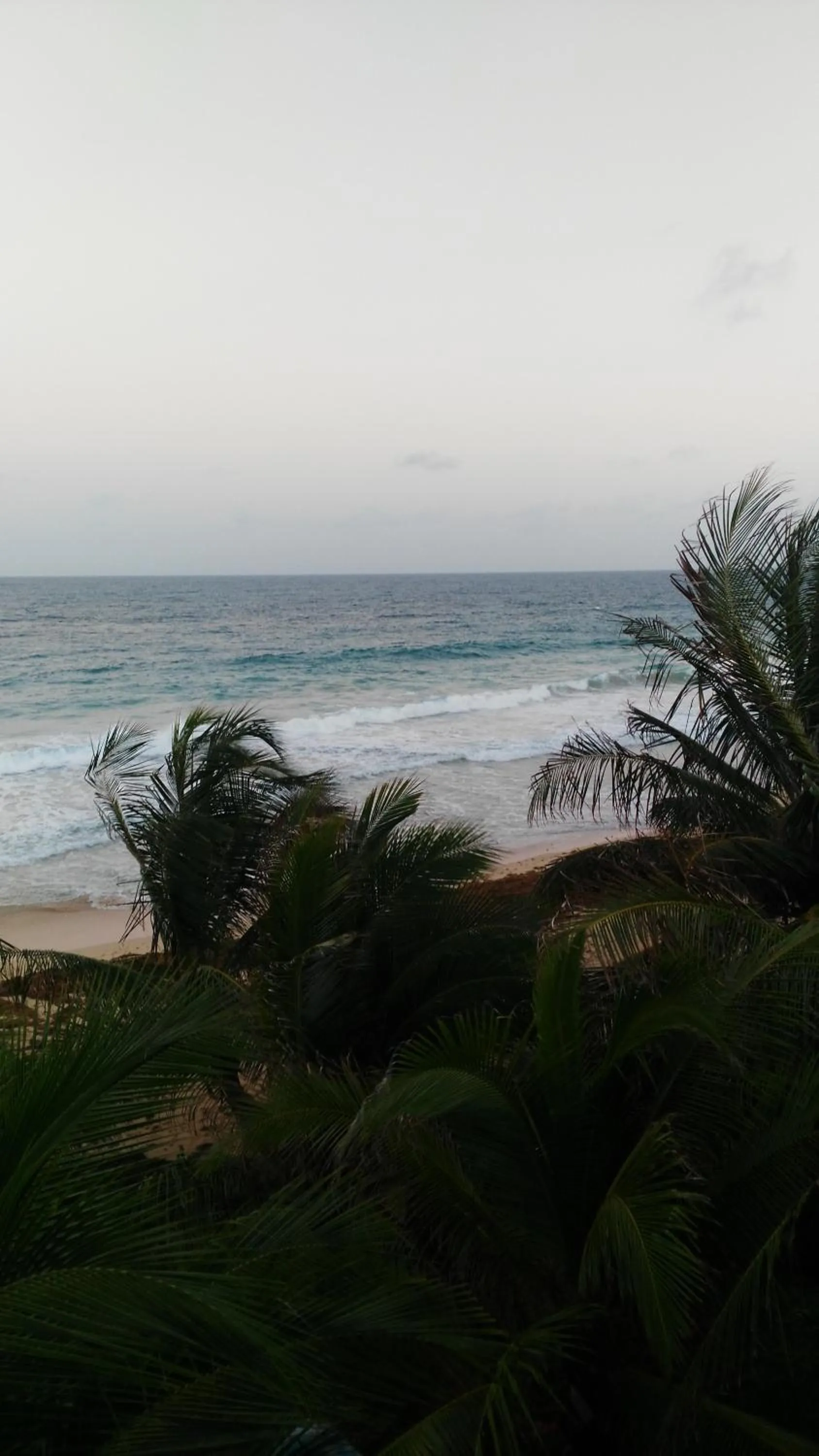 Corn Island Hostal ALAL SUITE