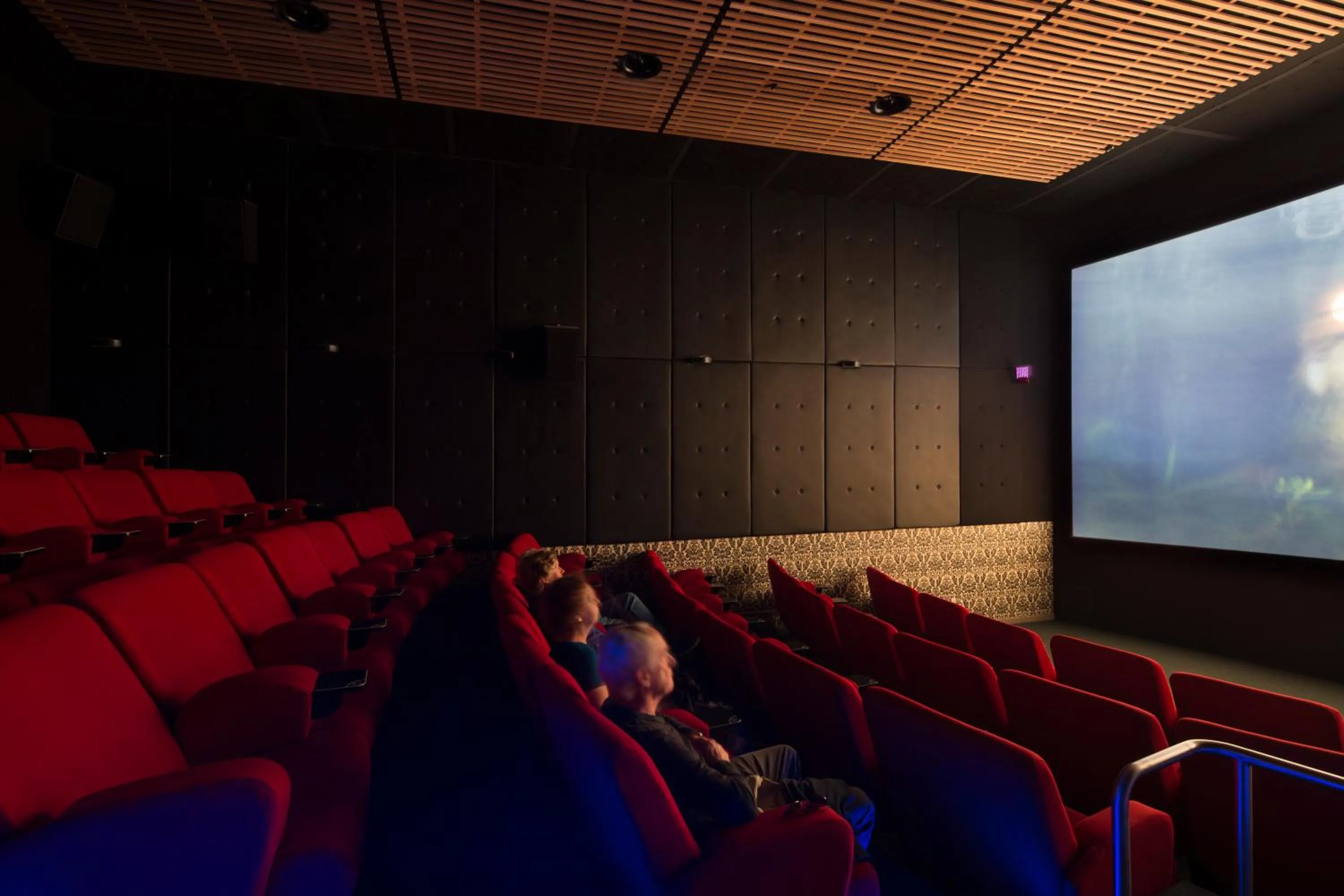 Entertainment in The Cinema Suites