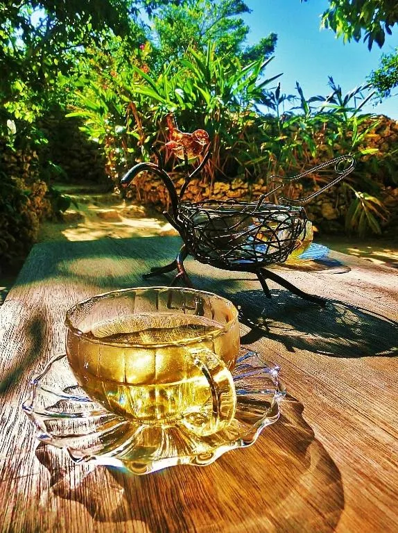 Non alcoholic drinks in Taketomijima Akaneya