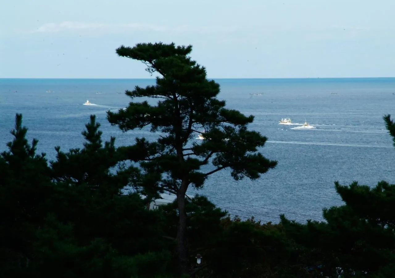 Natural landscape in Hotel Keipu