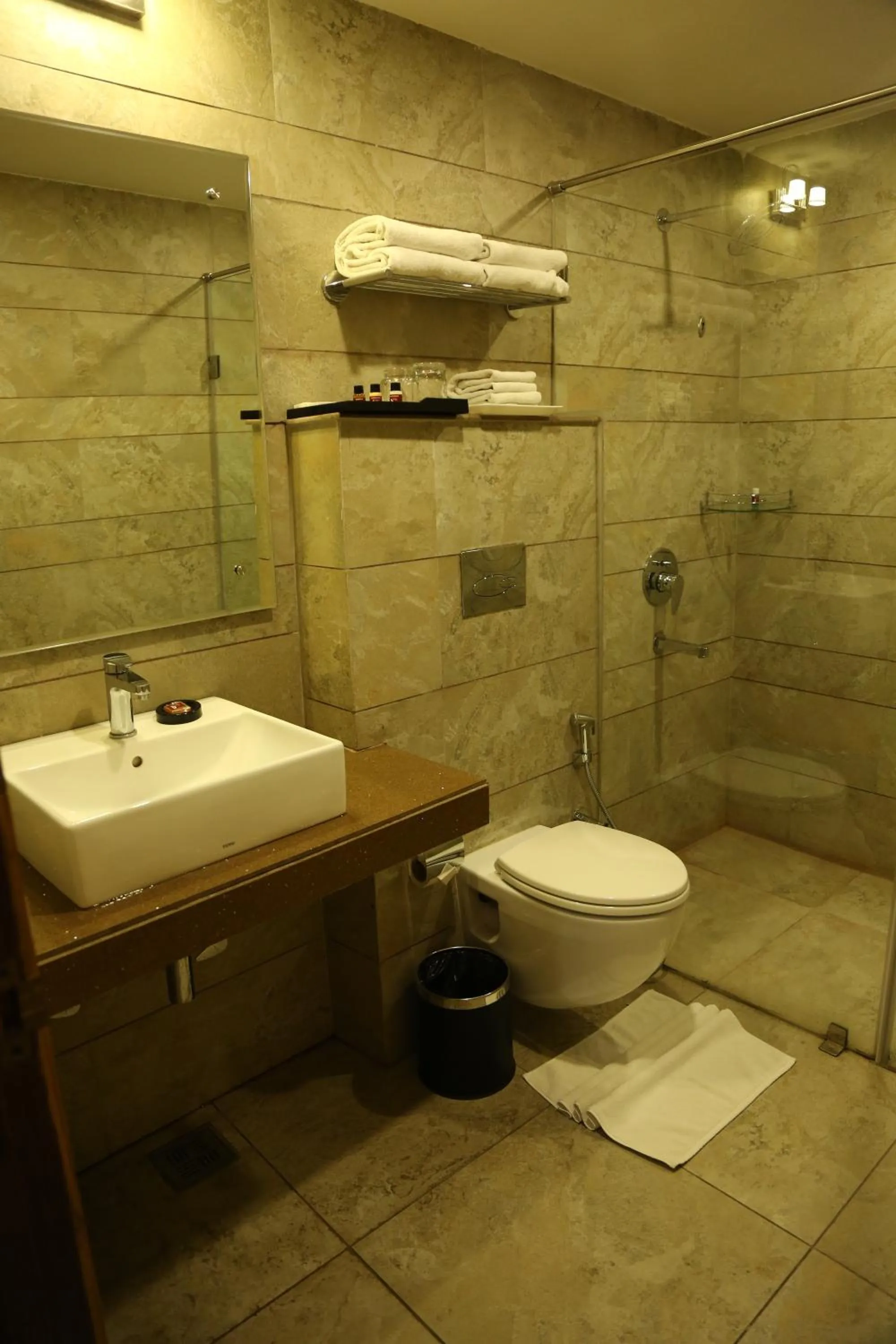 Bathroom in Ana Clarks Inn, Panchkula