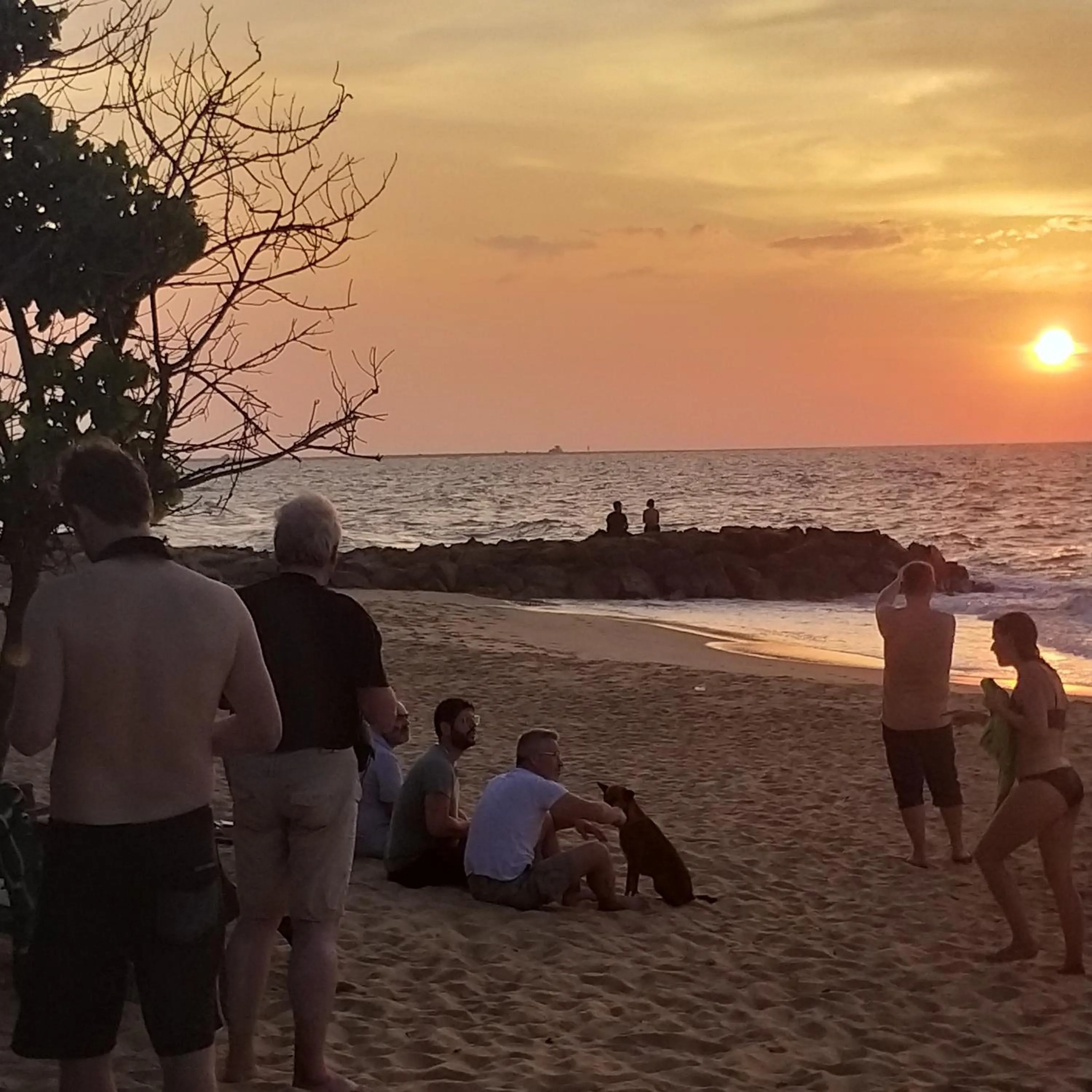 Natural landscape in Ocean View Beach Resort - Kalpitiya