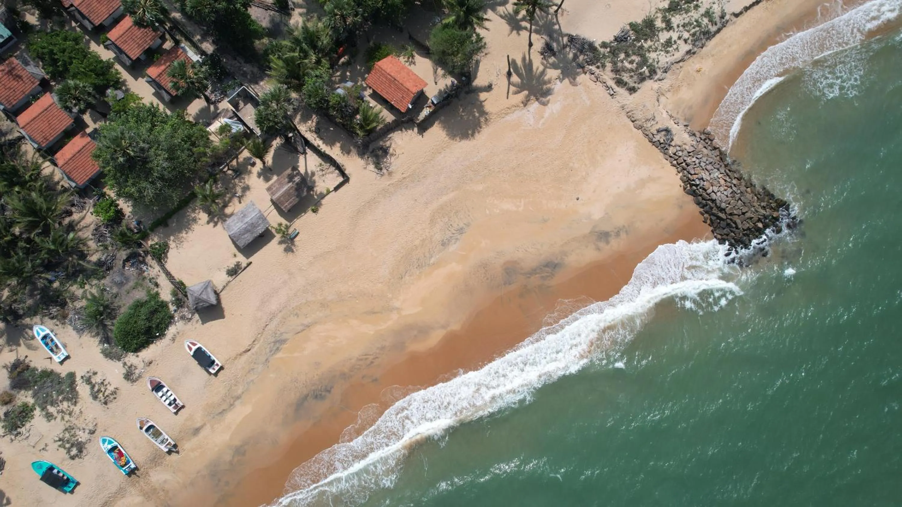 Natural landscape in Ocean View Beach Resort - Kalpitiya