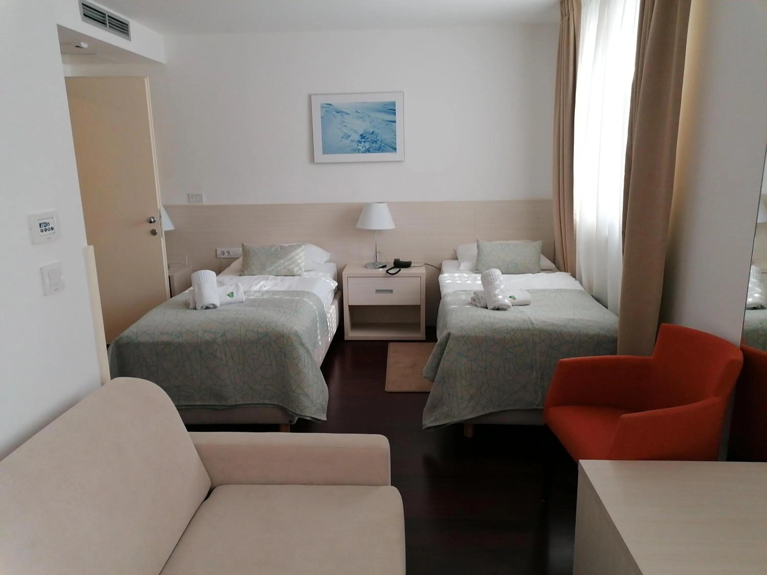 Bed in Hotel Borovnik