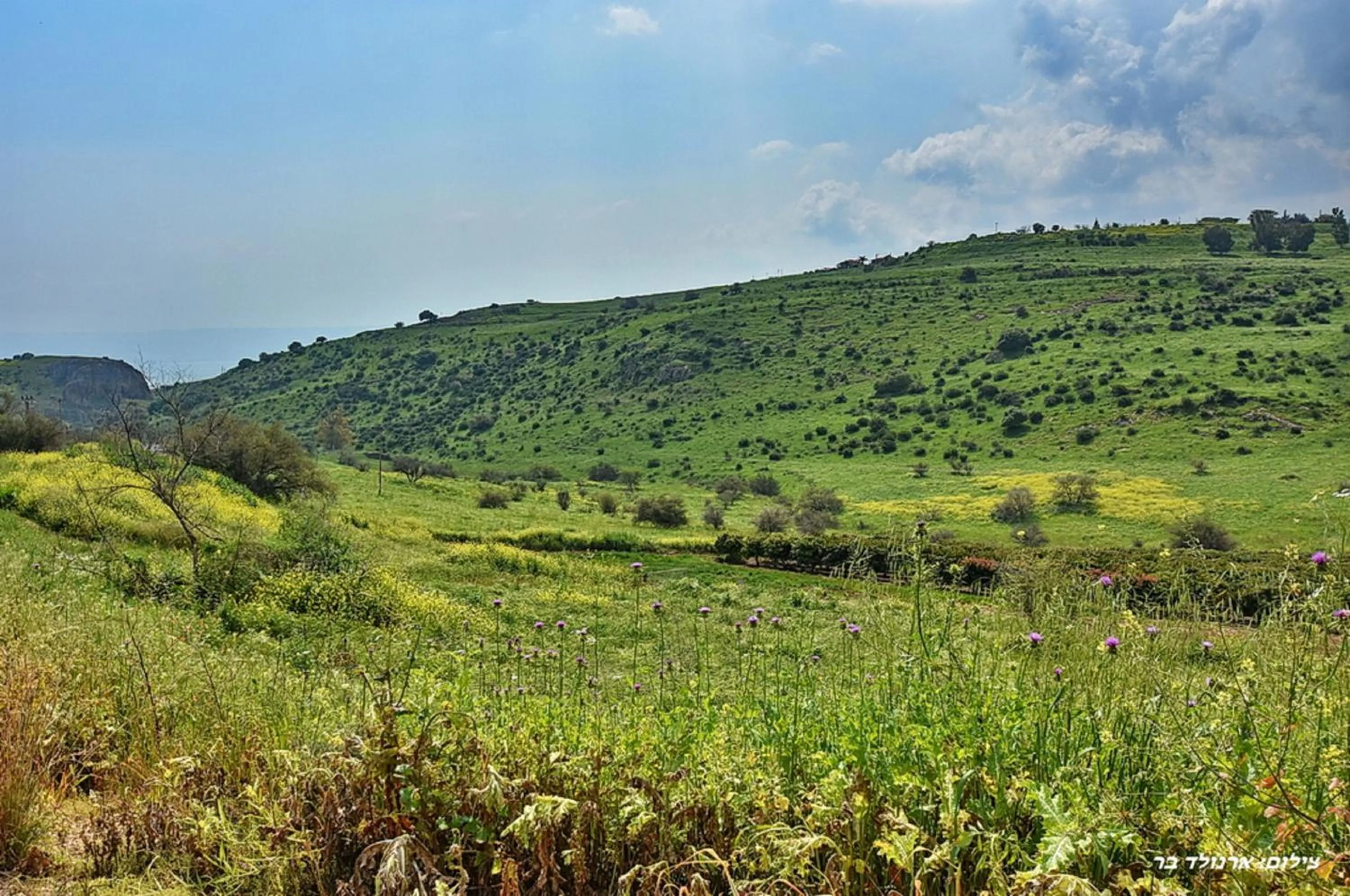Nearby landmark in Agama
