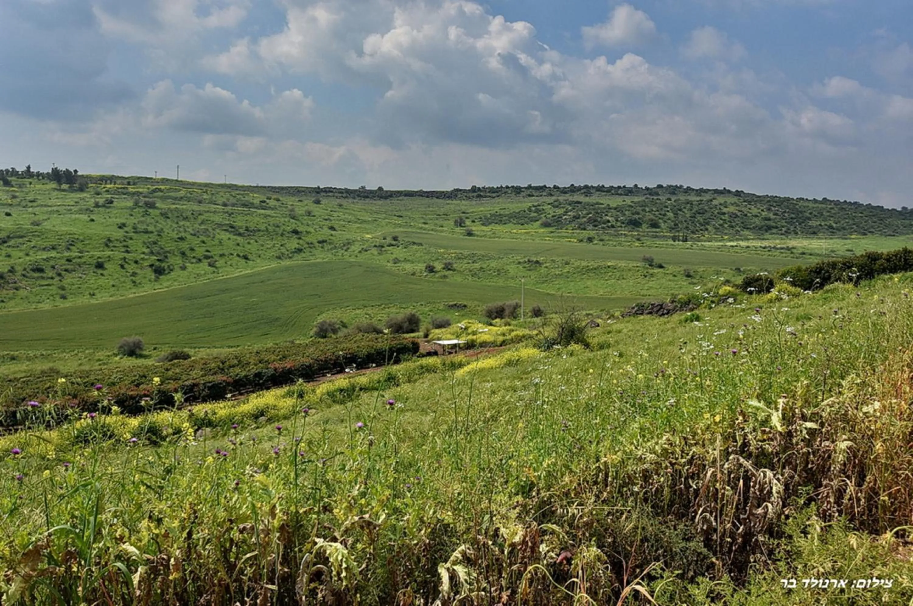 Nearby landmark in Agama