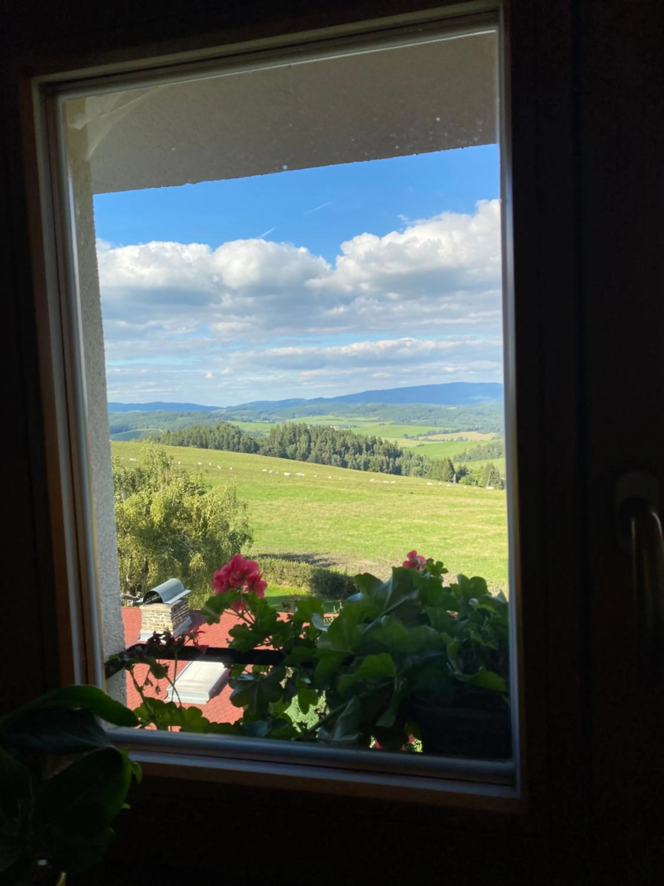View (from property/room) in Apartmán Hořice na Šumavě