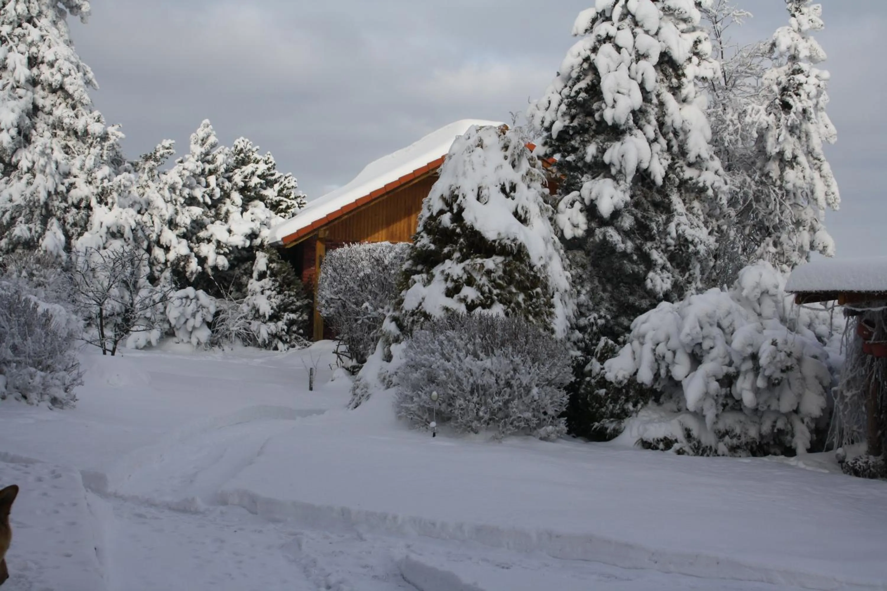 Winter in Apartmán Hořice na Šumavě