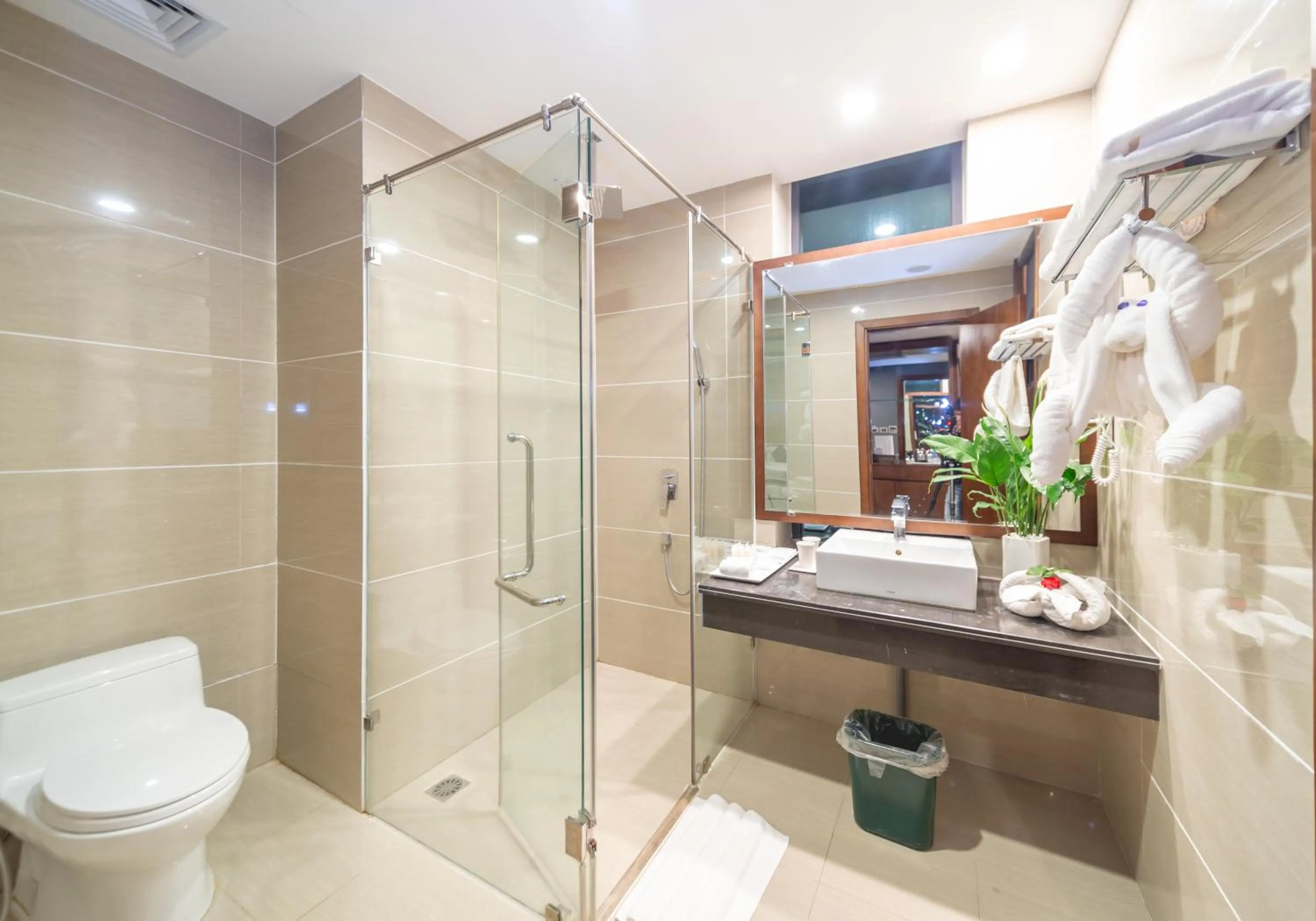 Toilet in Bien Bac Hotel