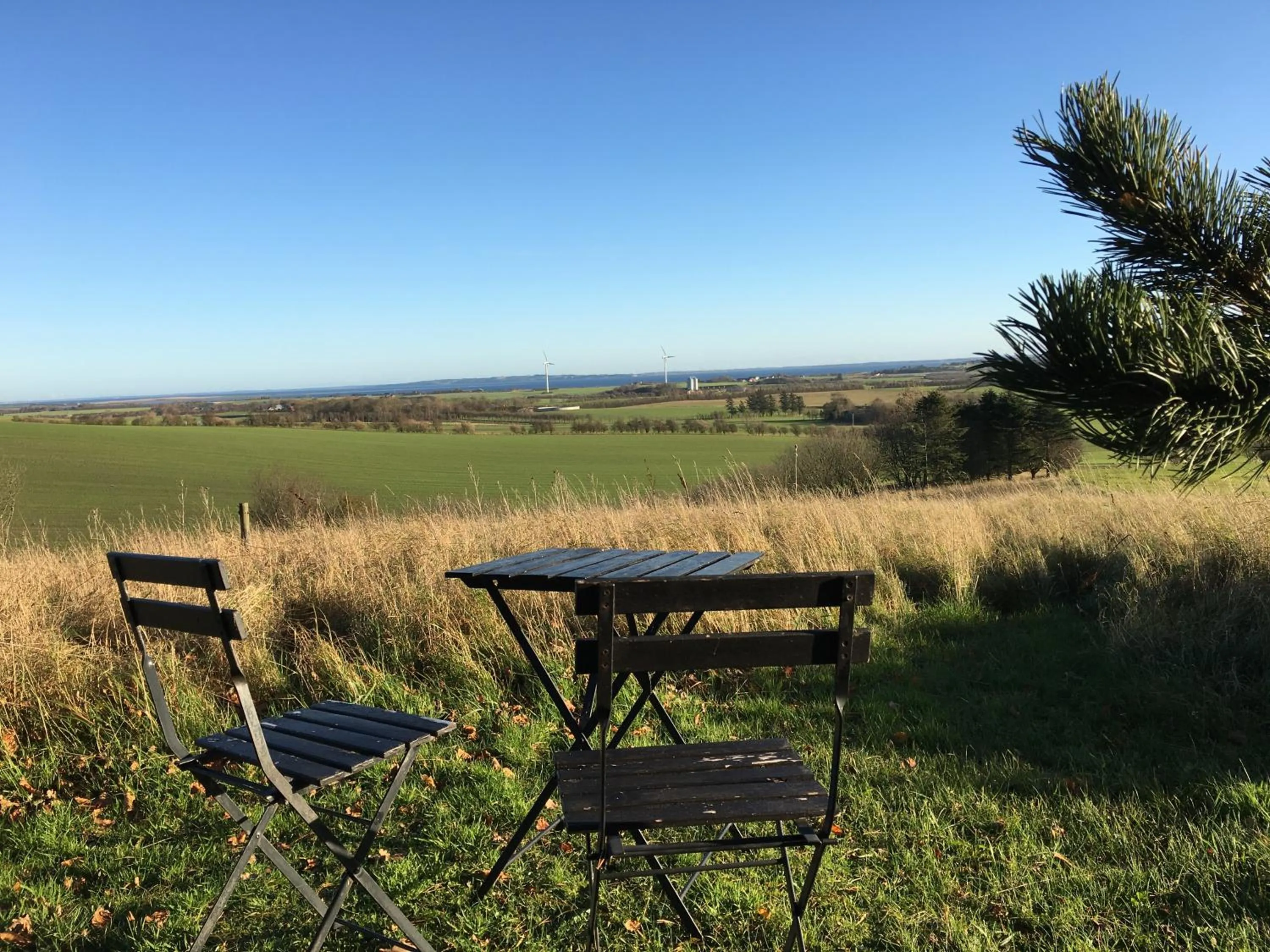 Natural landscape in Heltoften Bed & Breakfast