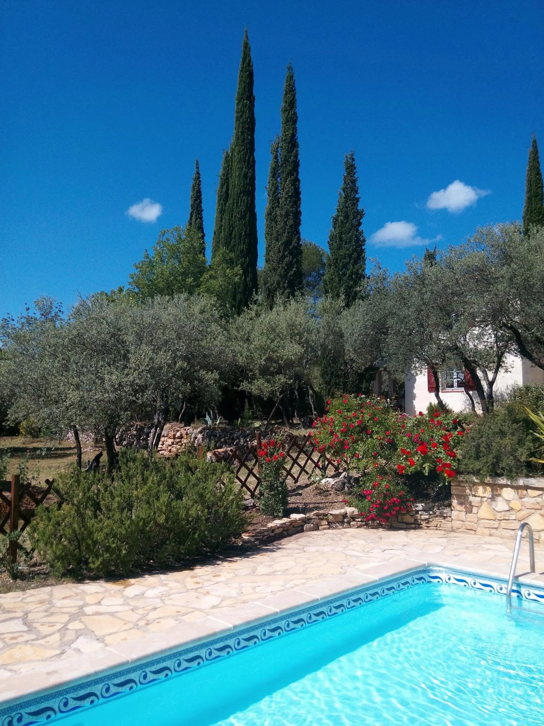 Garden in Gite Les Oliviers