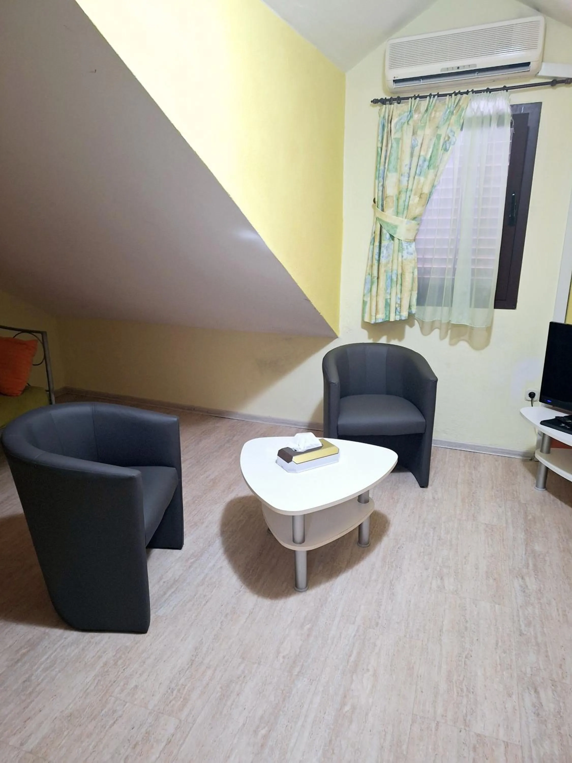 Living room in Palace Derossi