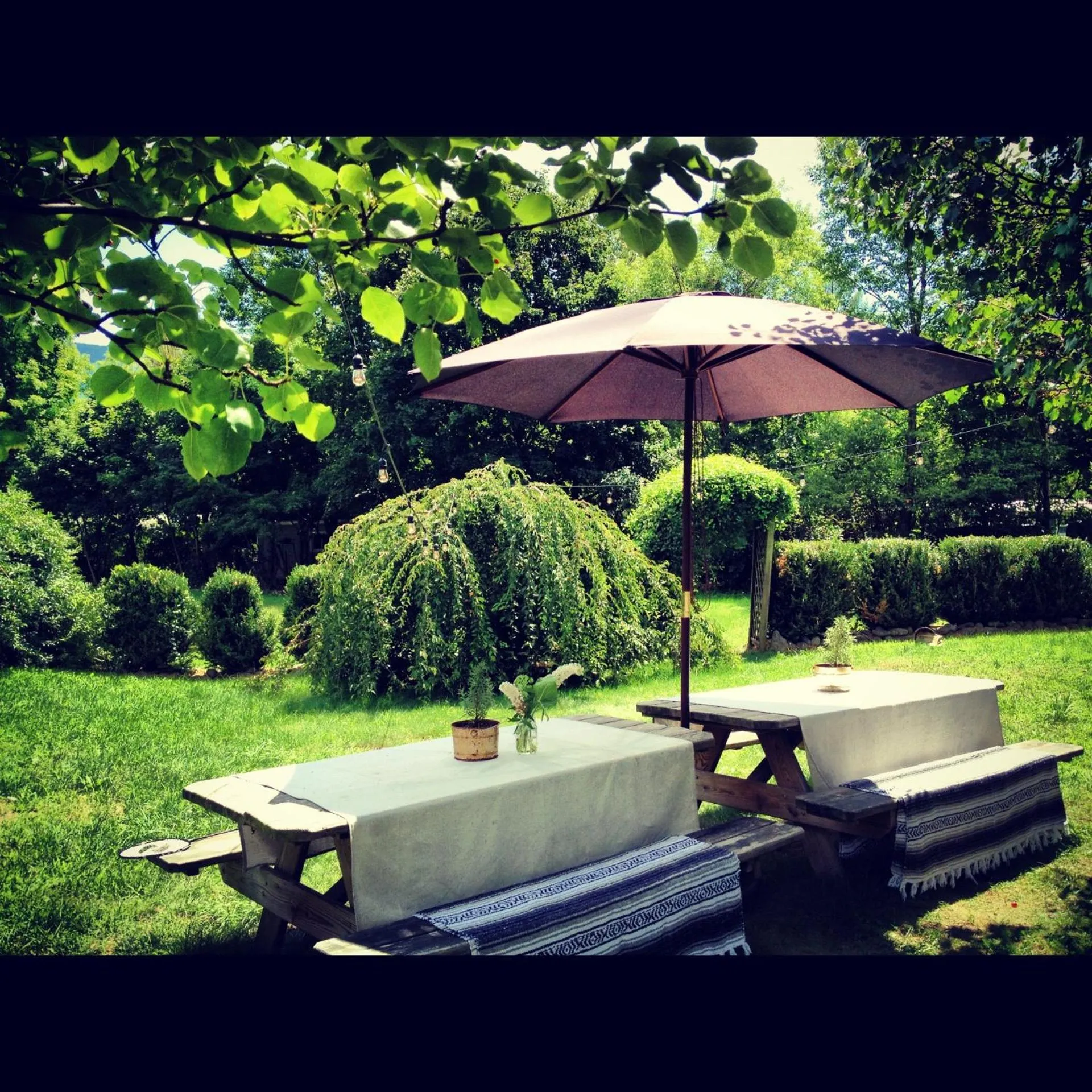 Garden in The Graham & Co.