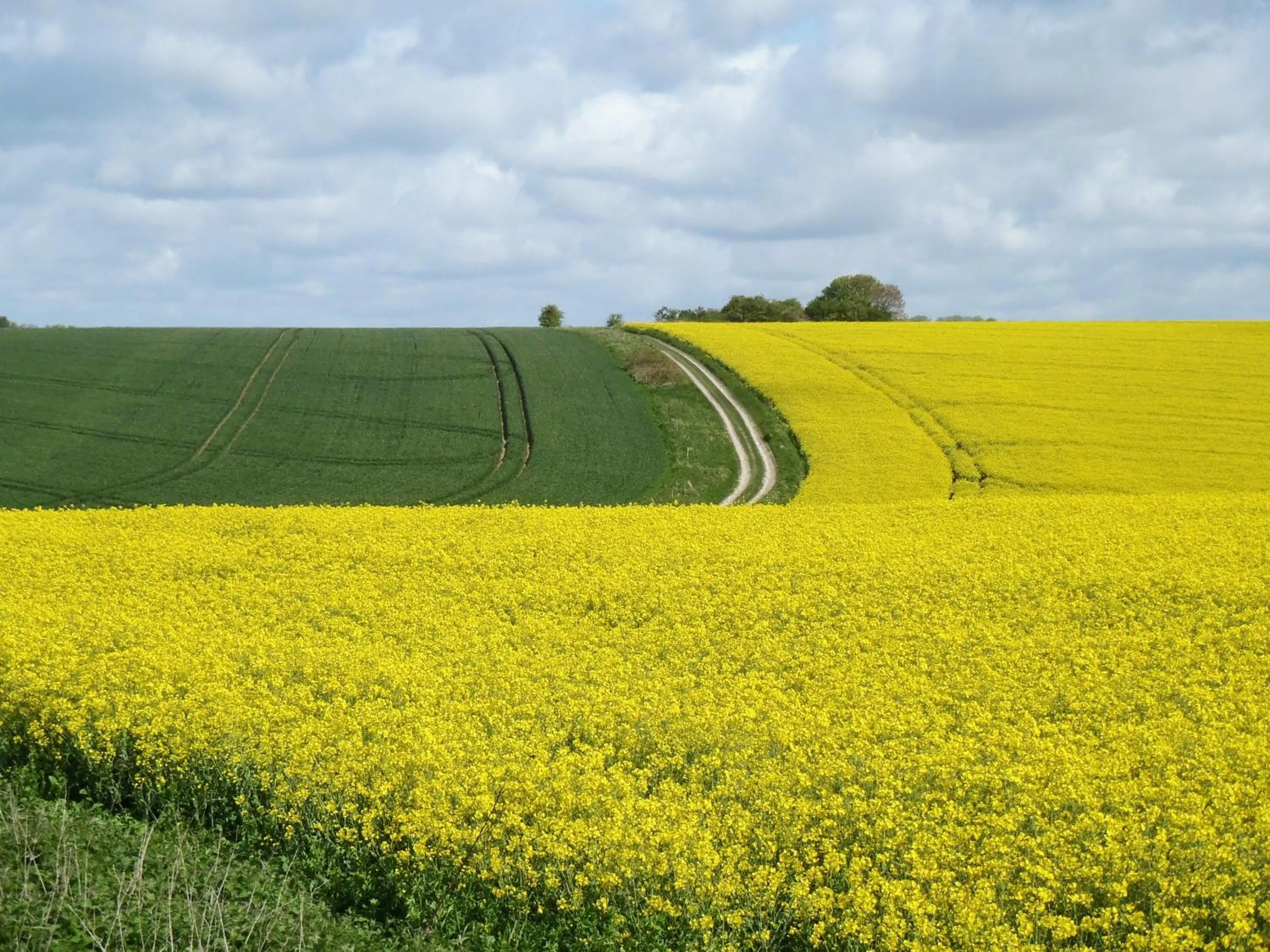 View (from property/room) in Manor Farm B&B