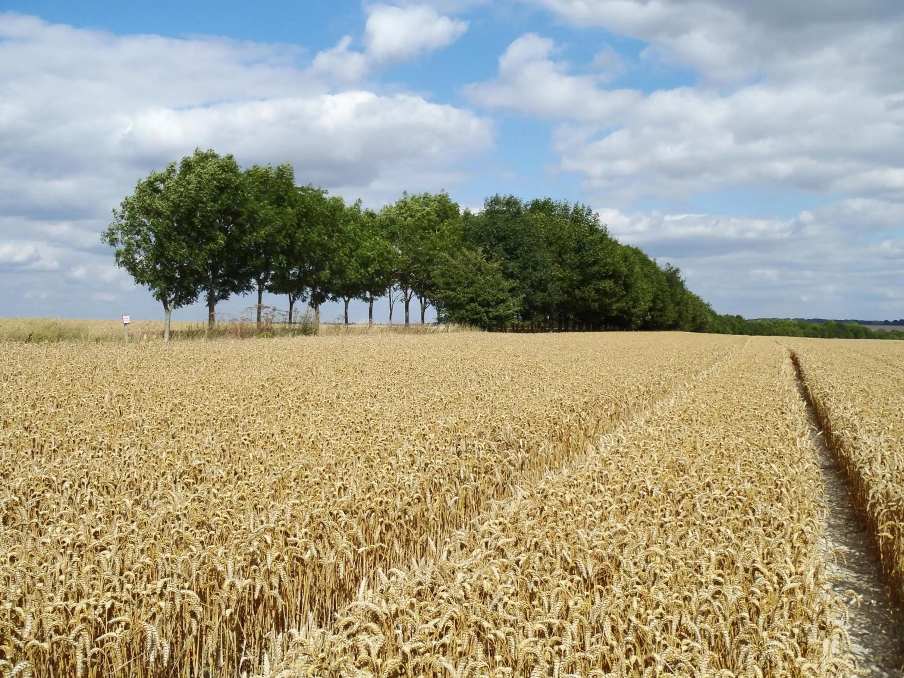 View (from property/room) in Manor Farm B&B