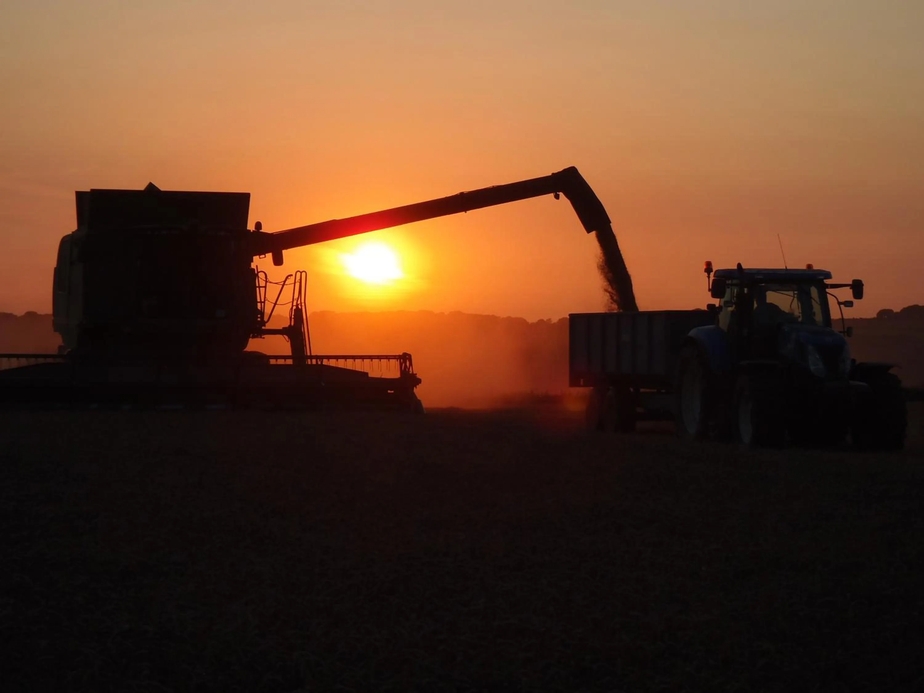 View (from property/room) in Manor Farm B&B