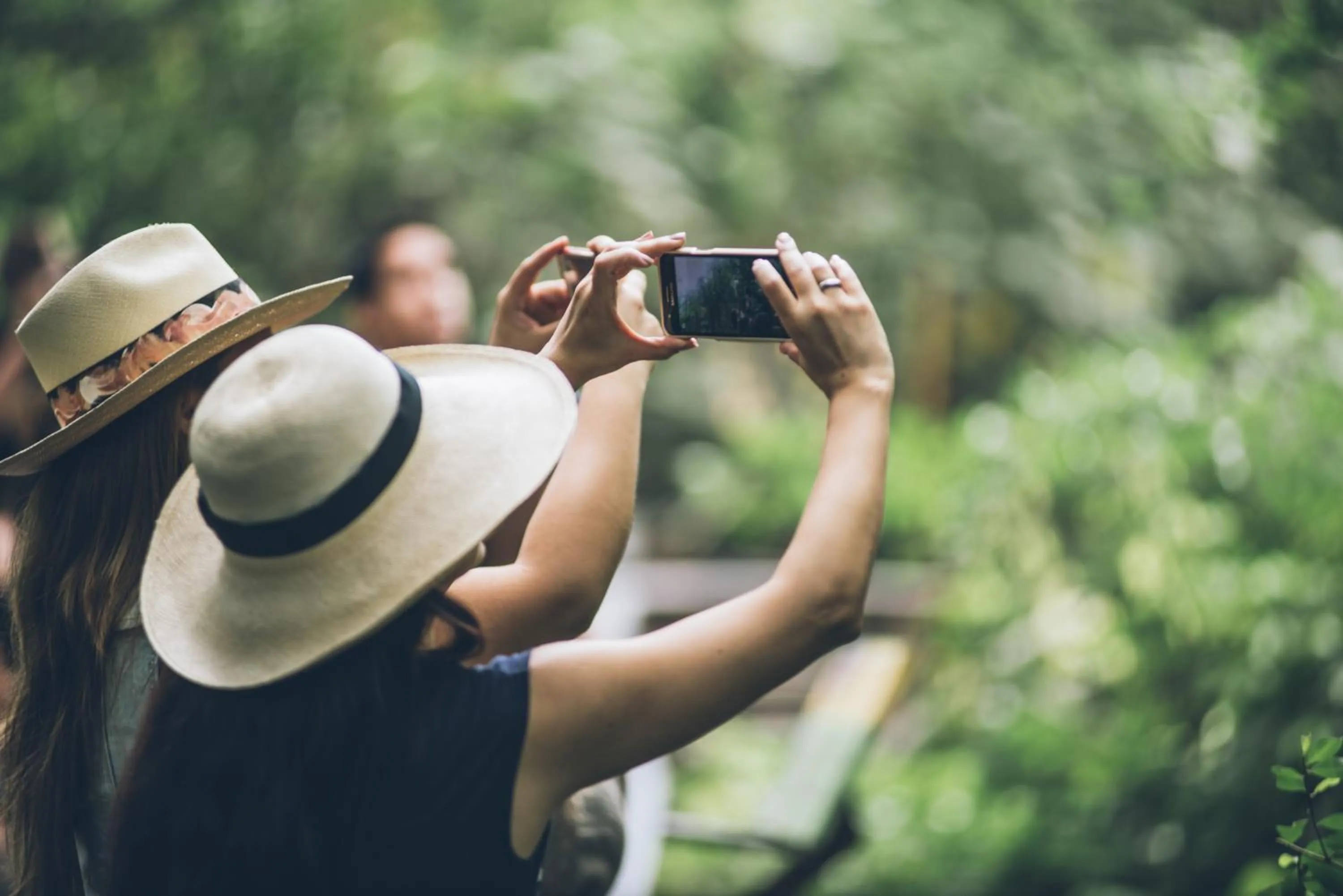 Activities in Hotel del Parque