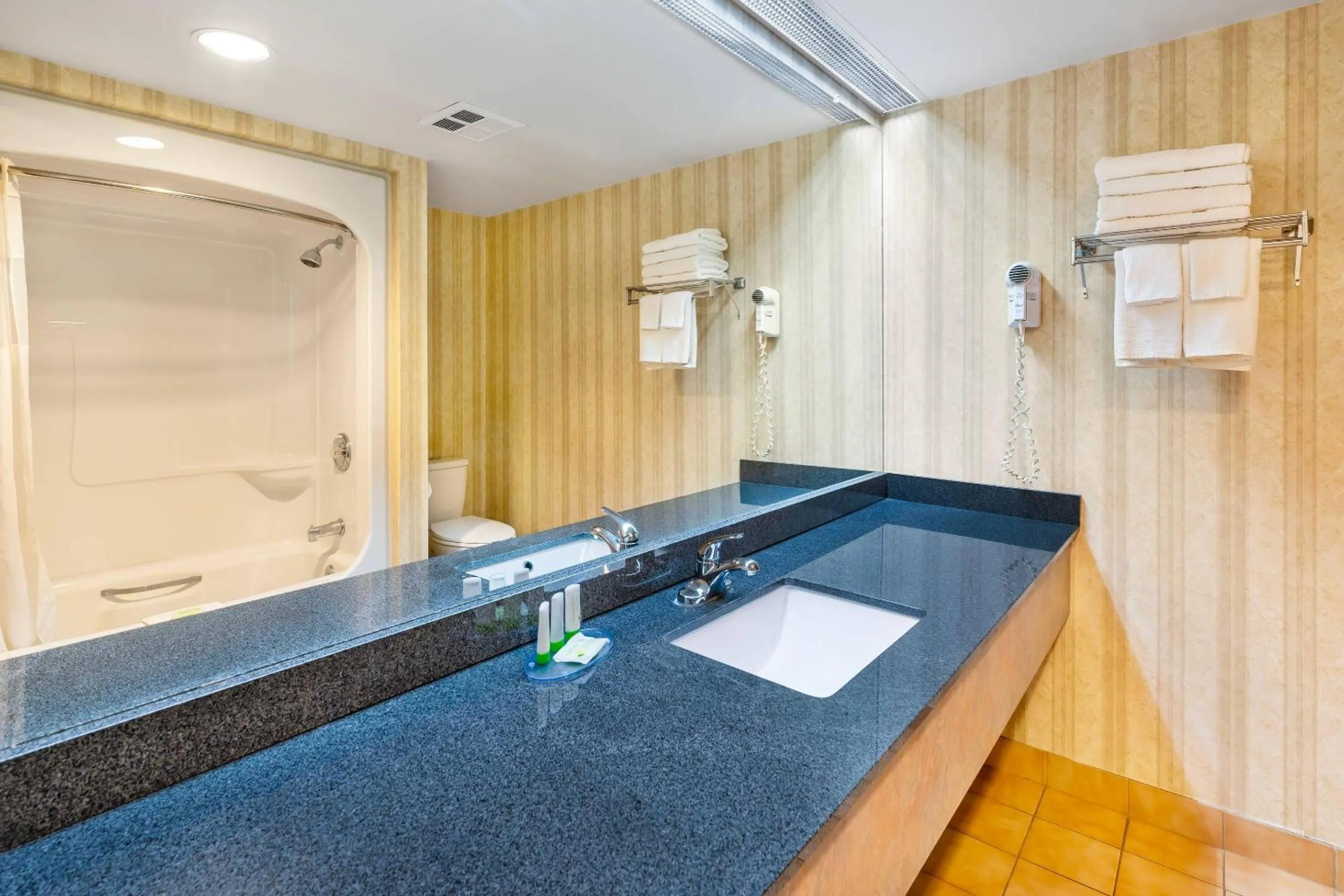 Bedroom in Rodeway Inn Festival