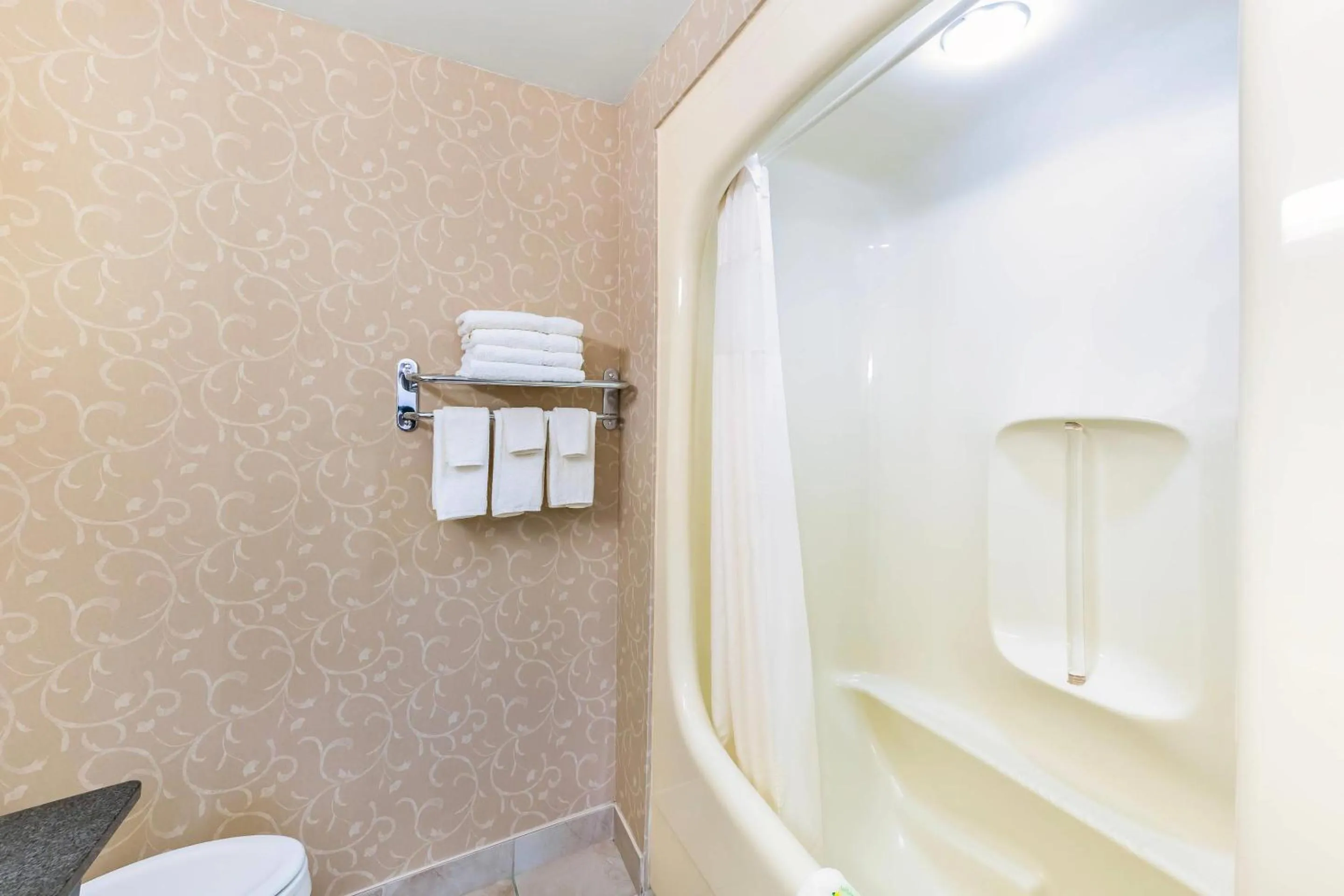 Bedroom in Rodeway Inn Festival