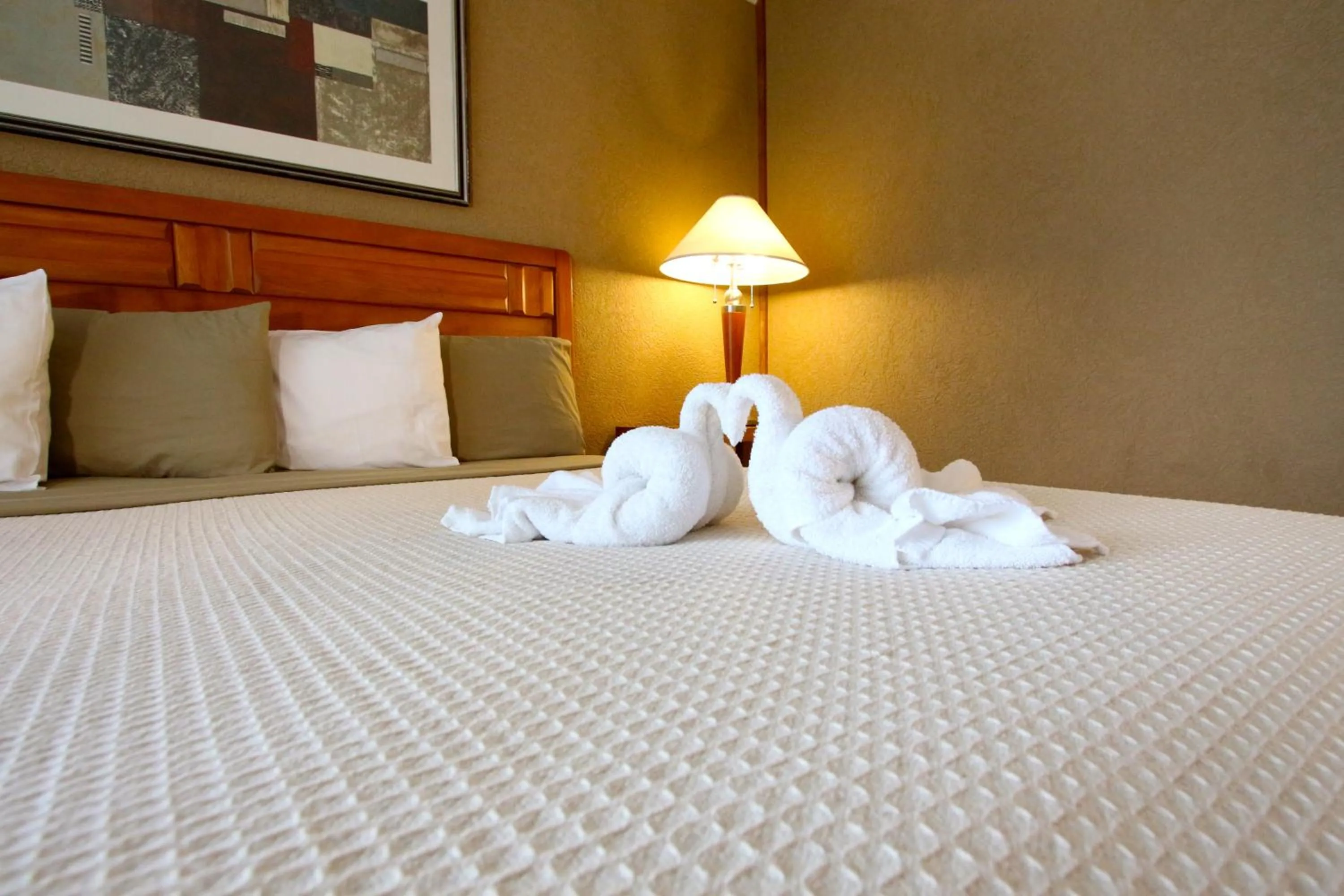 Bed in Crusader Oceanfront Resort