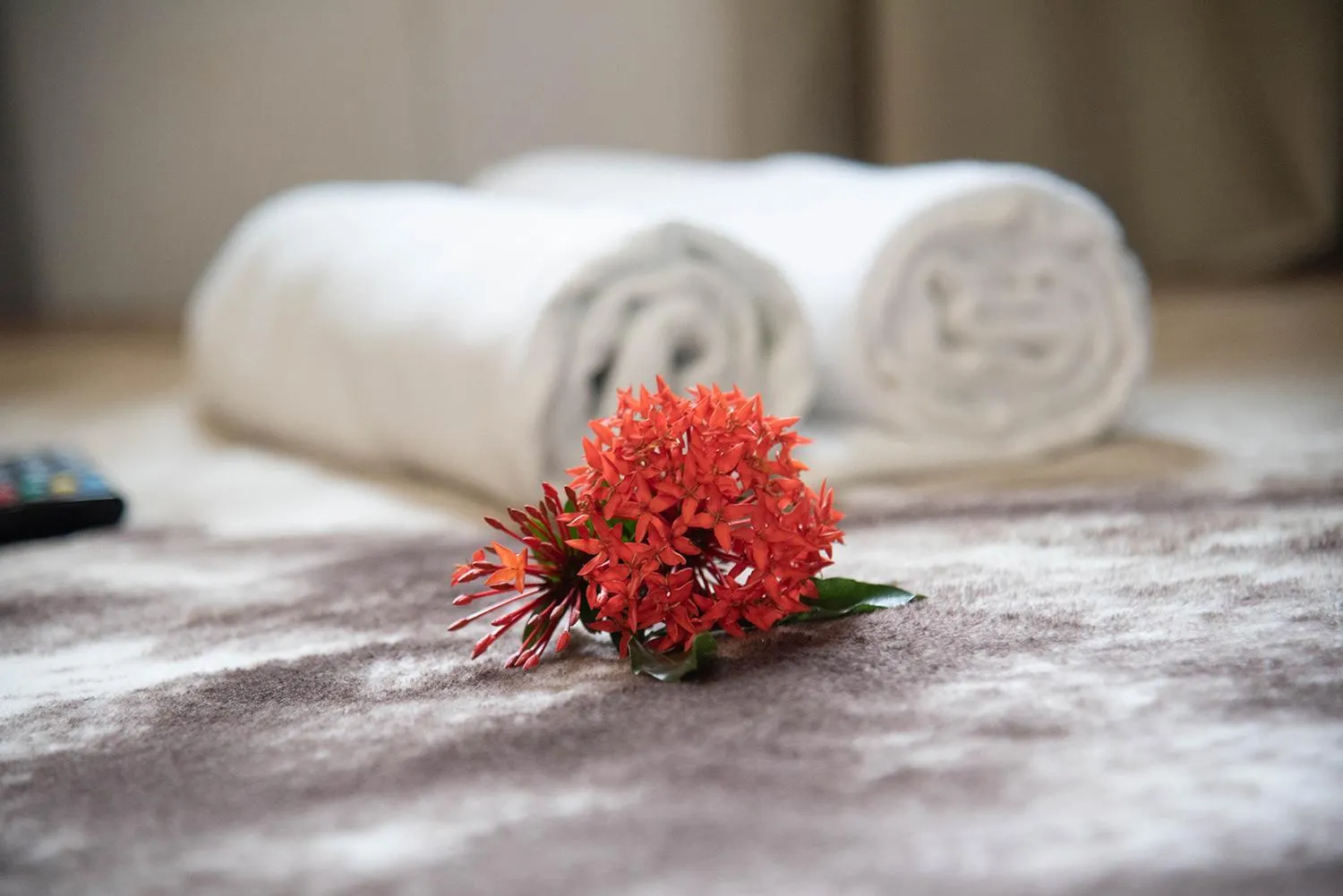 towels in Chalé Container Nobres Asa Própria