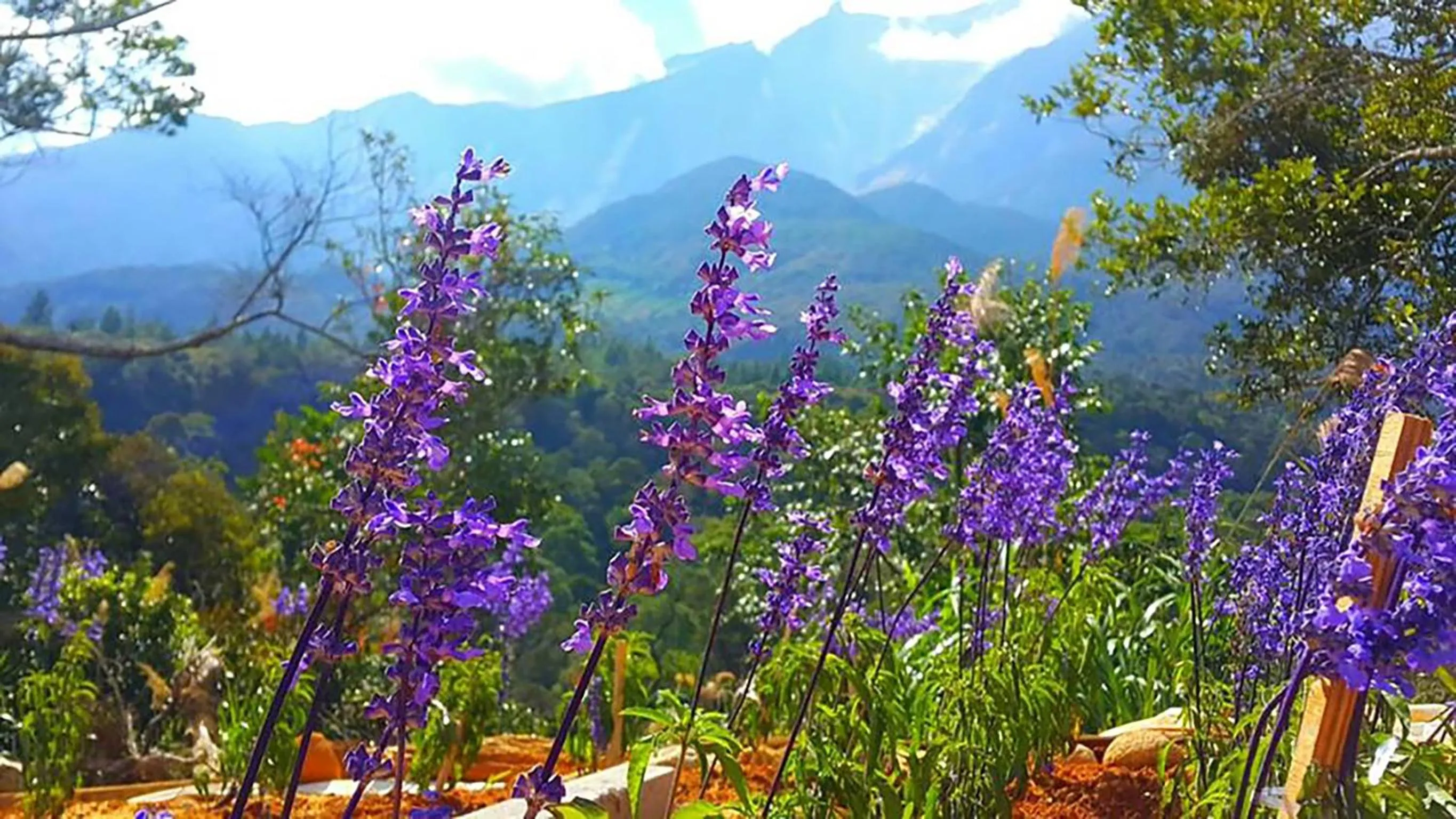 Natural landscape in T Paradise