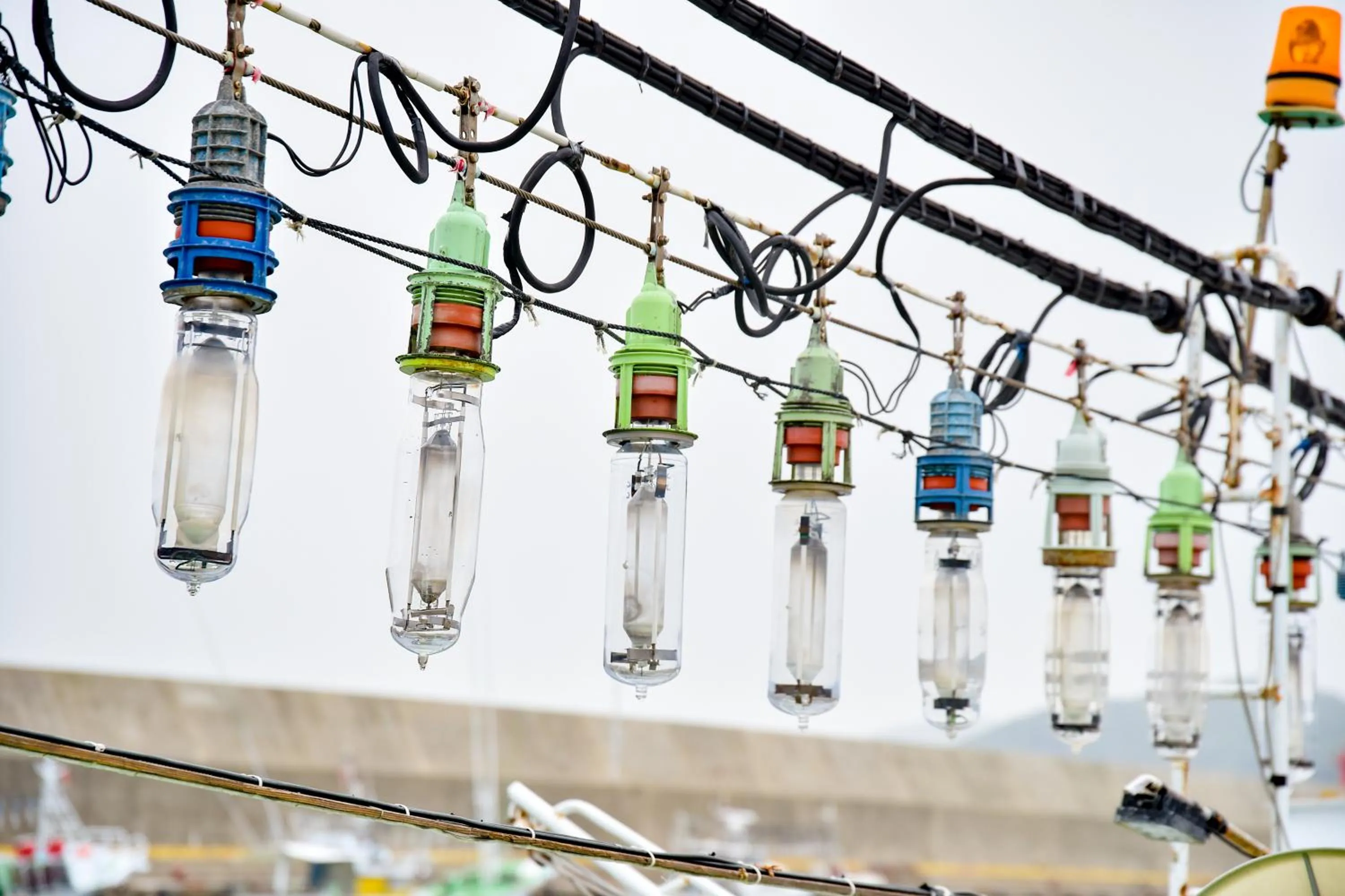 Off site in Iki Marina Hotel