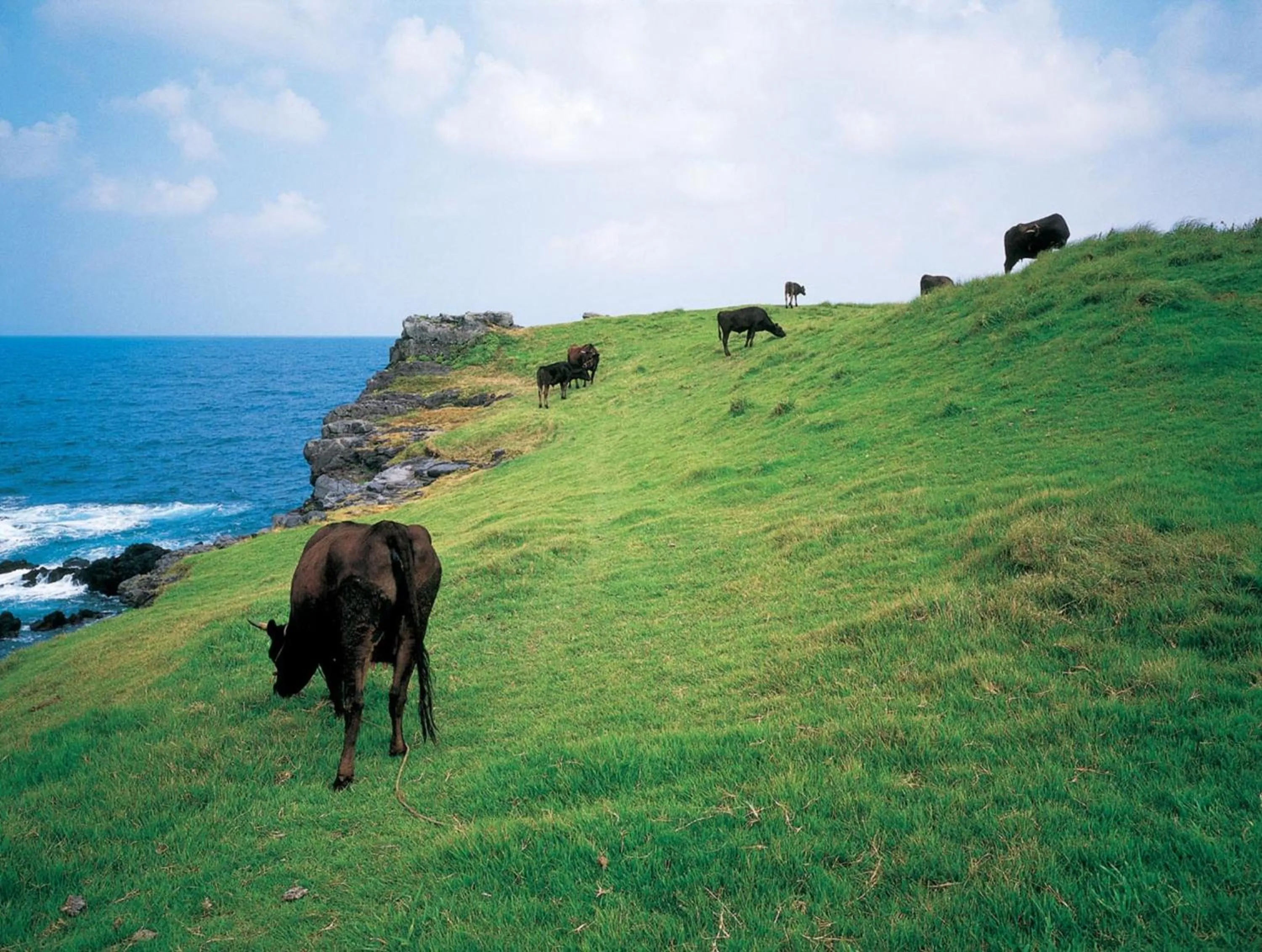 Nearby landmark in Iki Marina Hotel