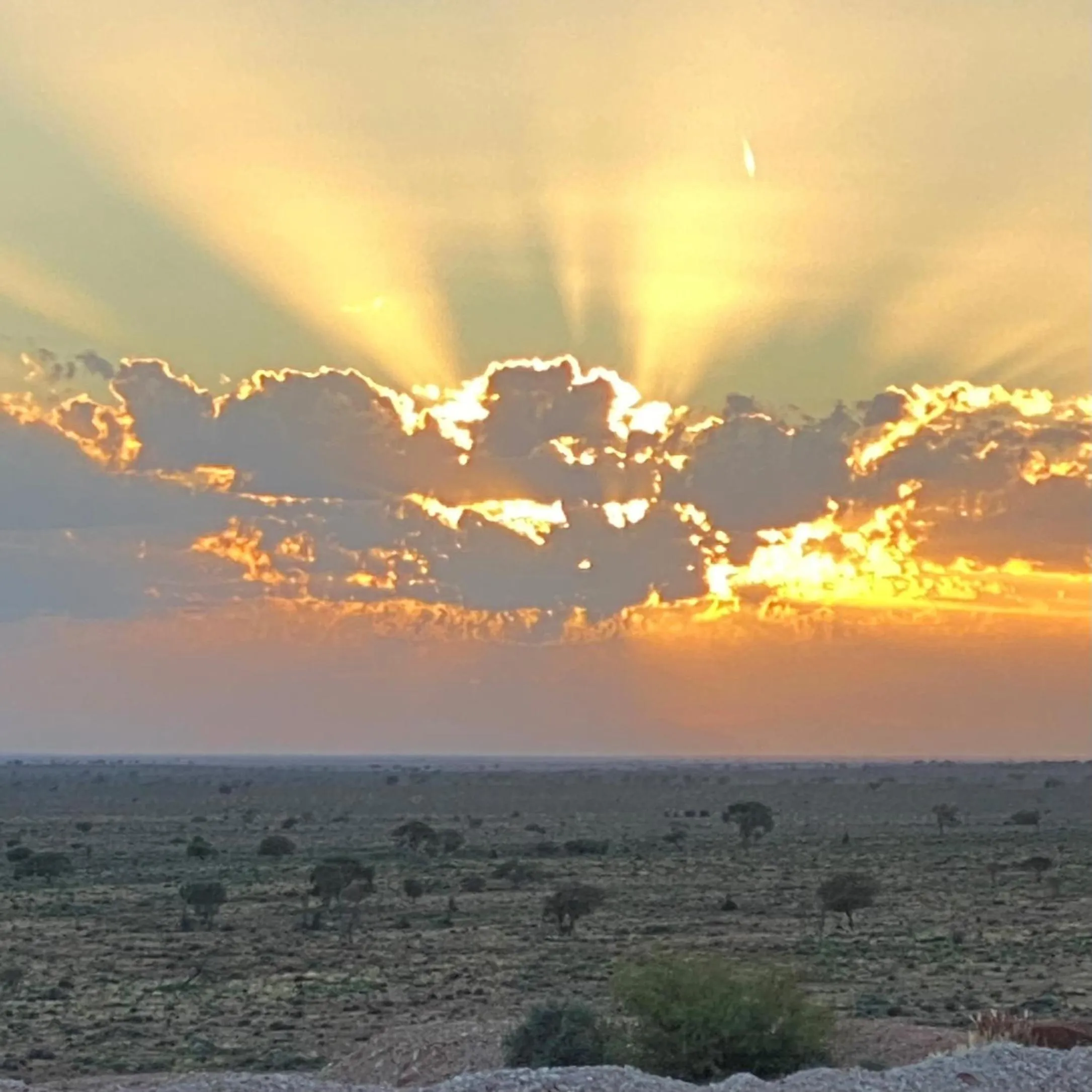 Natural landscape in White Cliffs Underground Motel