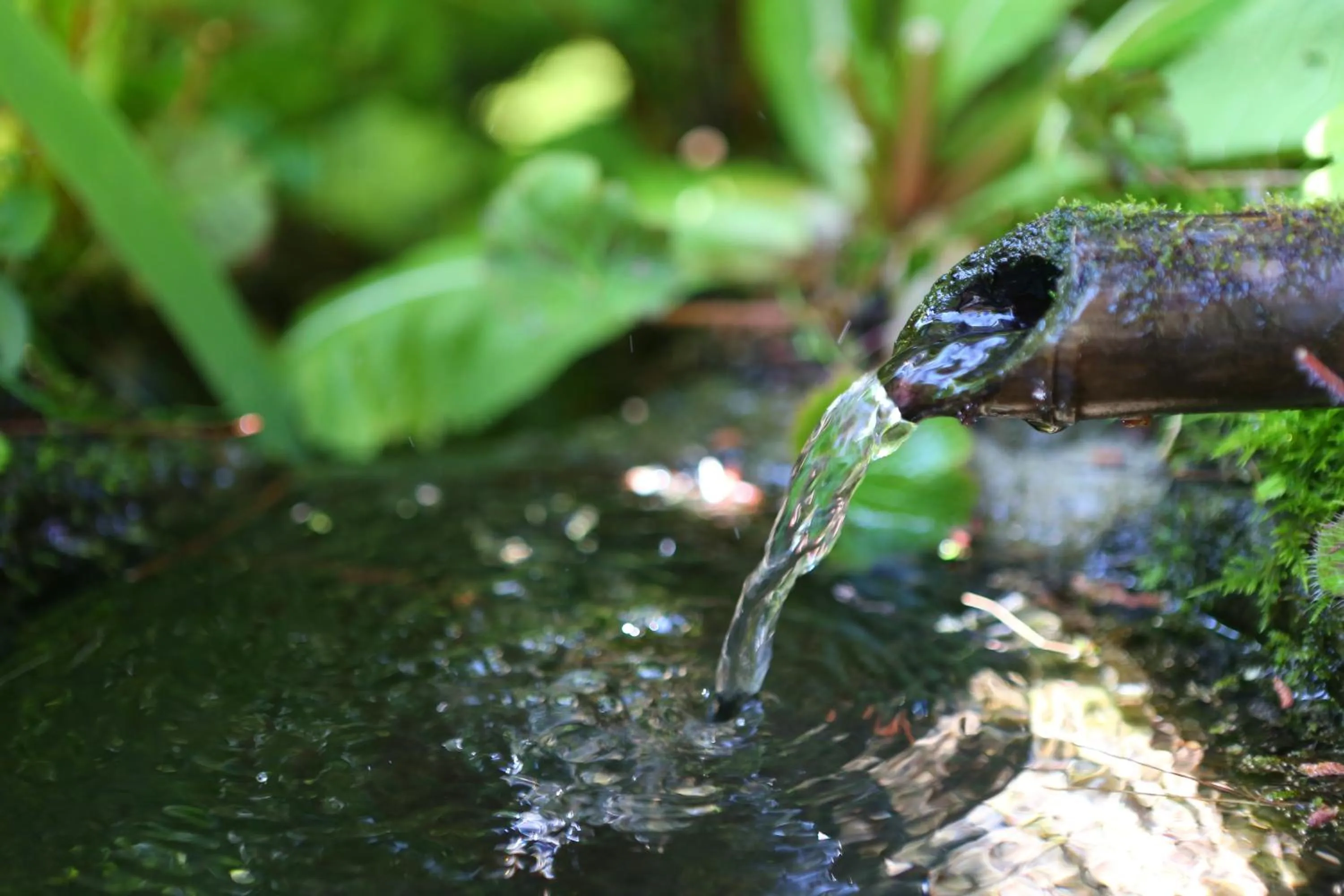 Natural landscape in Nukumorino-yado Komanoyu