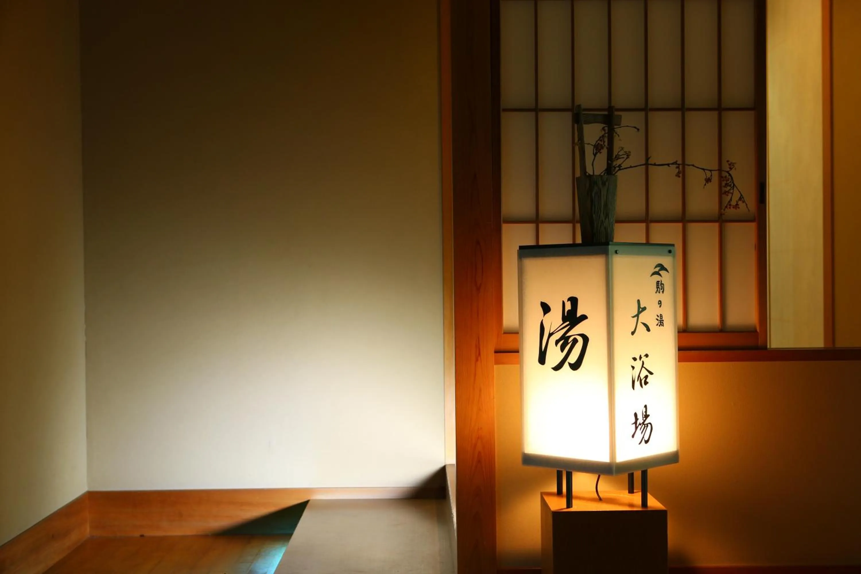 Spa and wellness centre/facilities in Nukumorino-yado Komanoyu