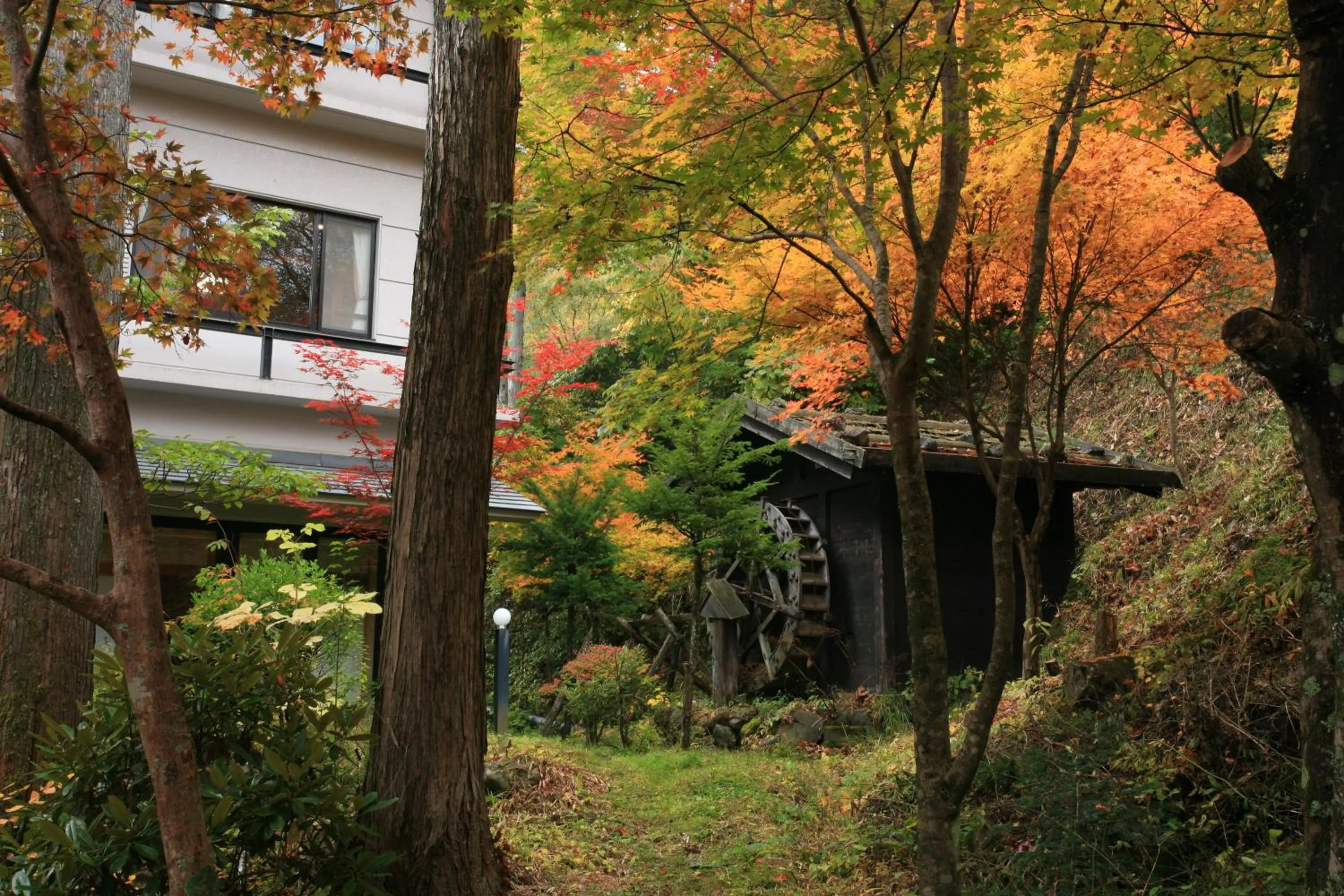Garden in Nukumorino-yado Komanoyu