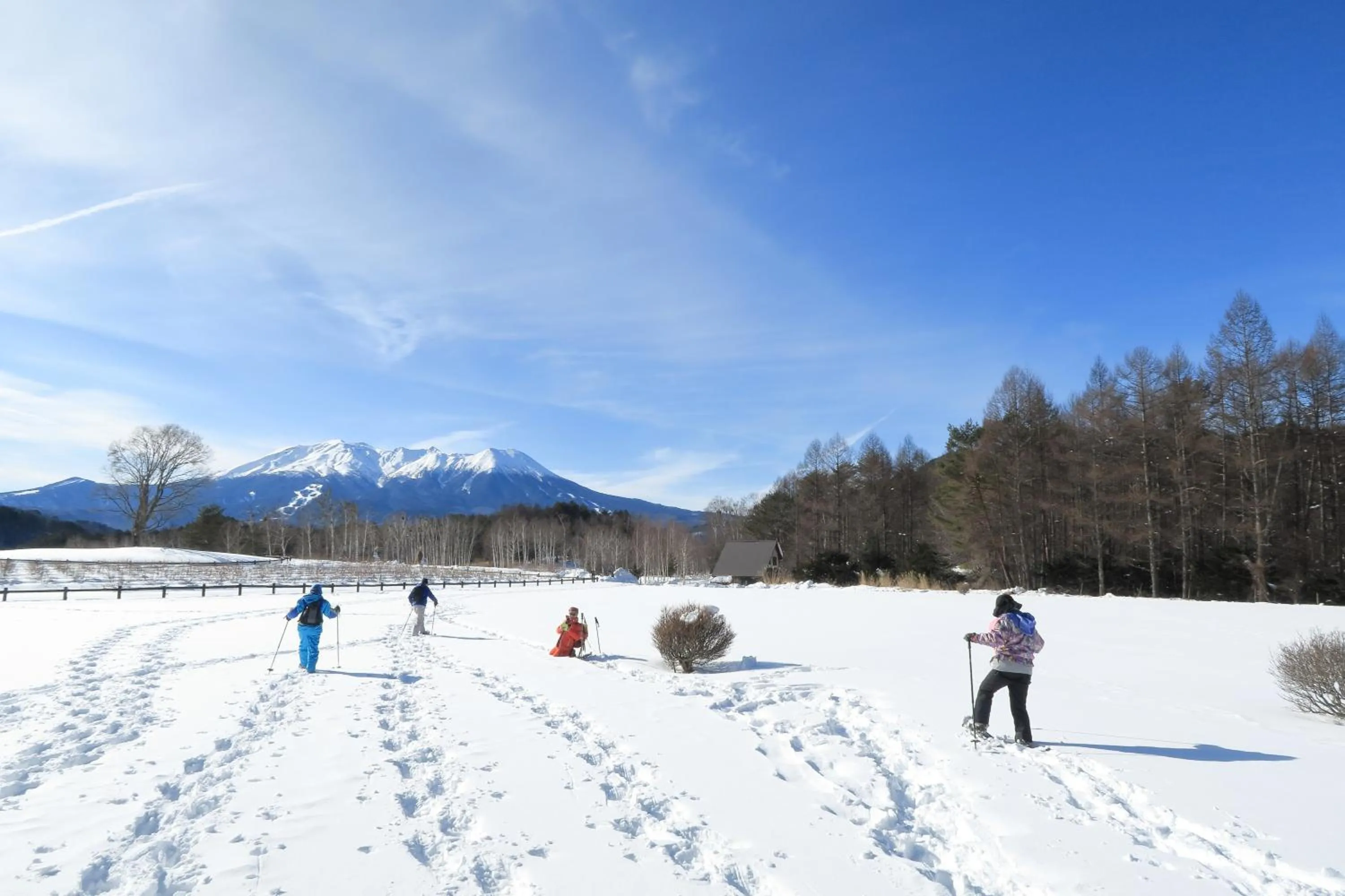 Activities in Nukumorino-yado Komanoyu