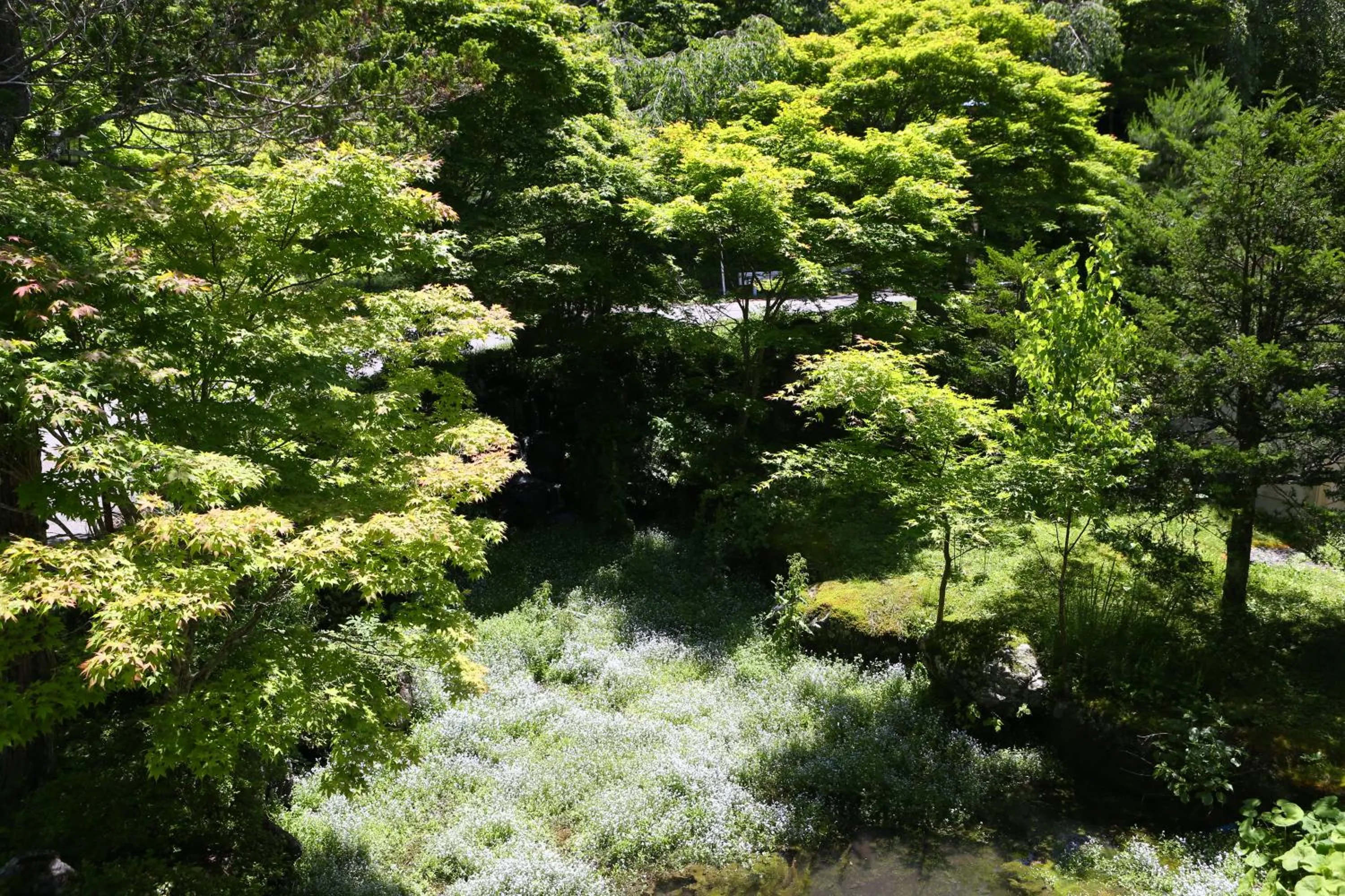 View (from property/room) in Nukumorino-yado Komanoyu