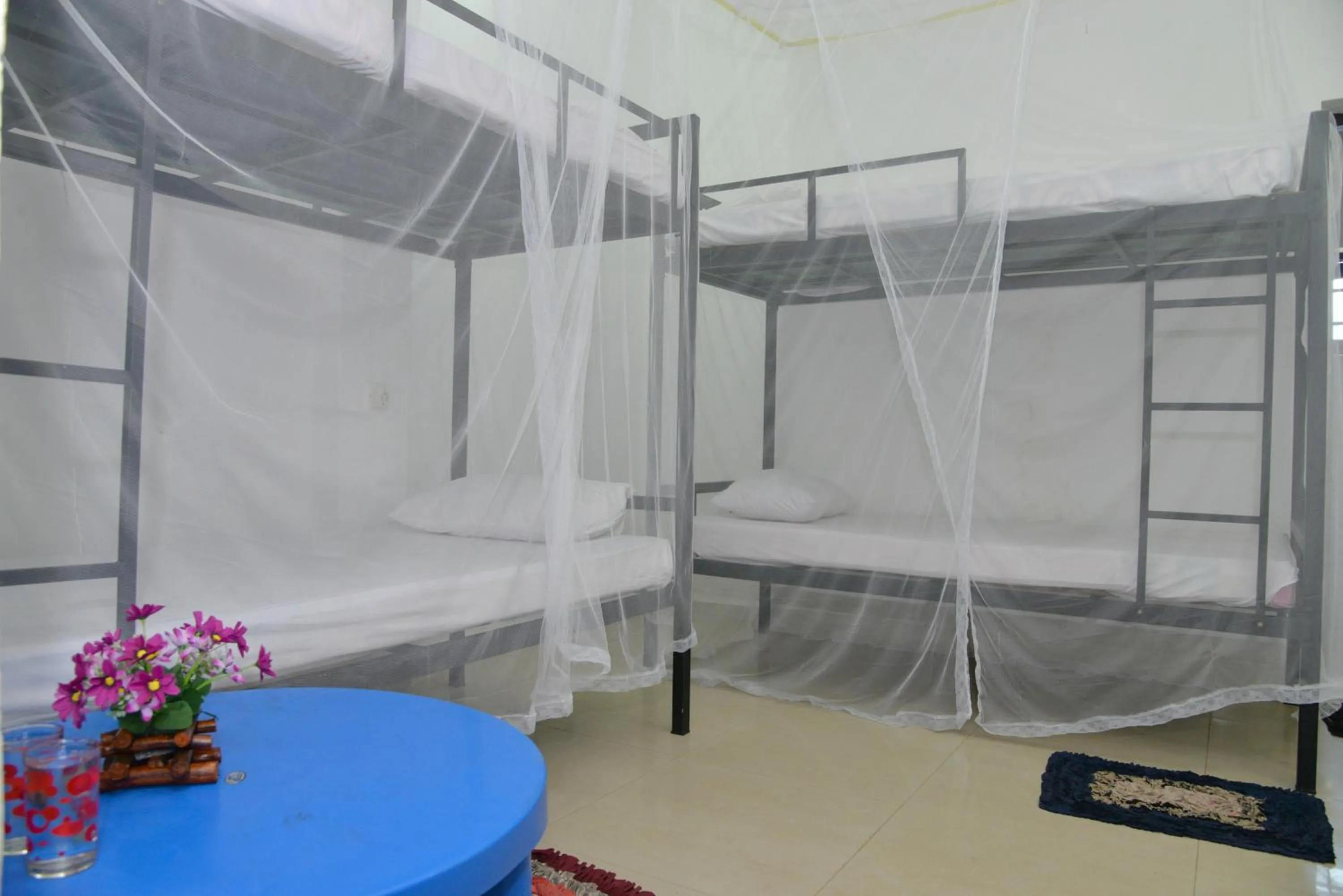 bunk bed, Bed in Traveller's Hostel Hikkaduwa