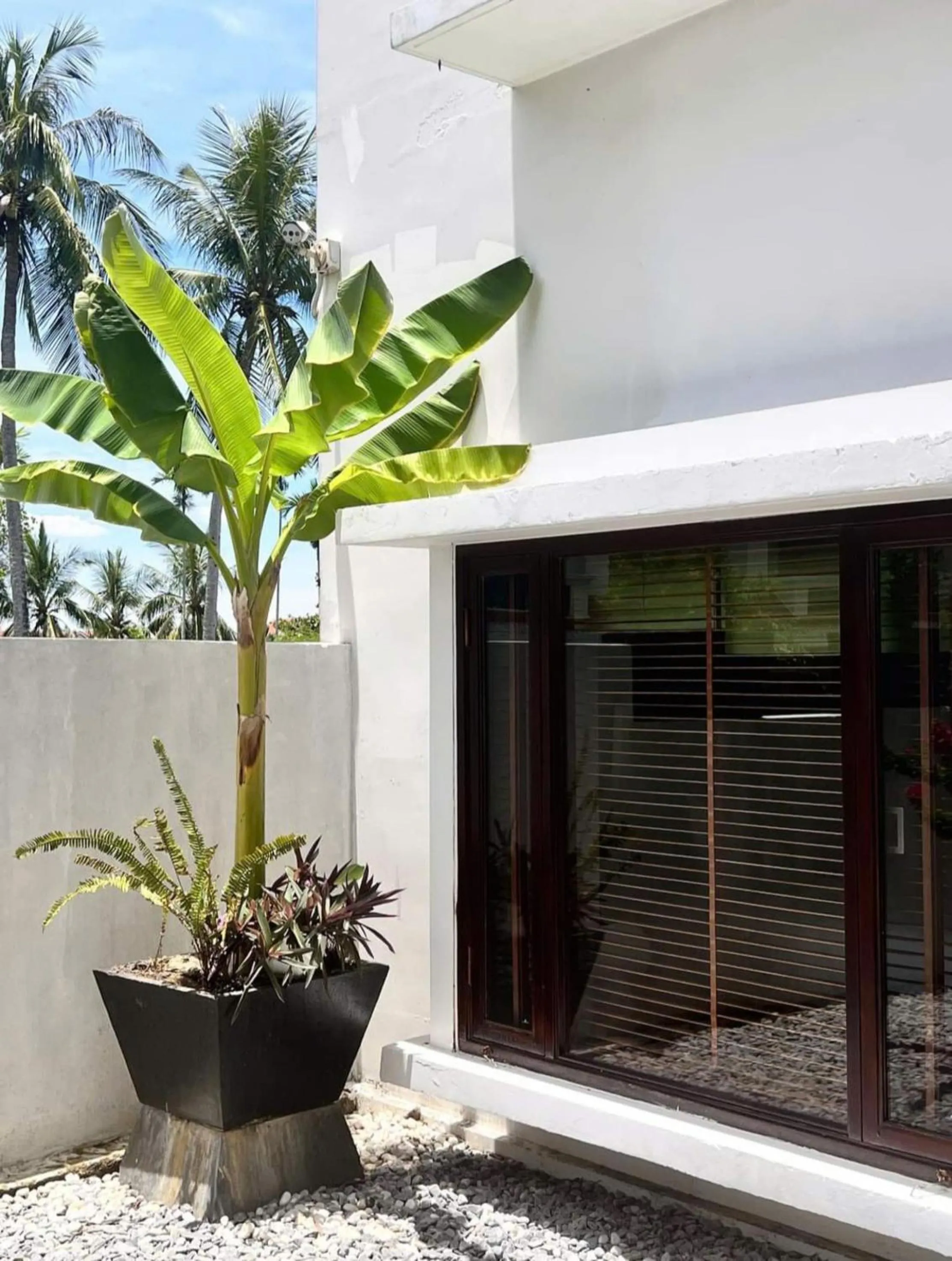 Balcony/Terrace in Elites Riverside Hotel & Spa Hoi An