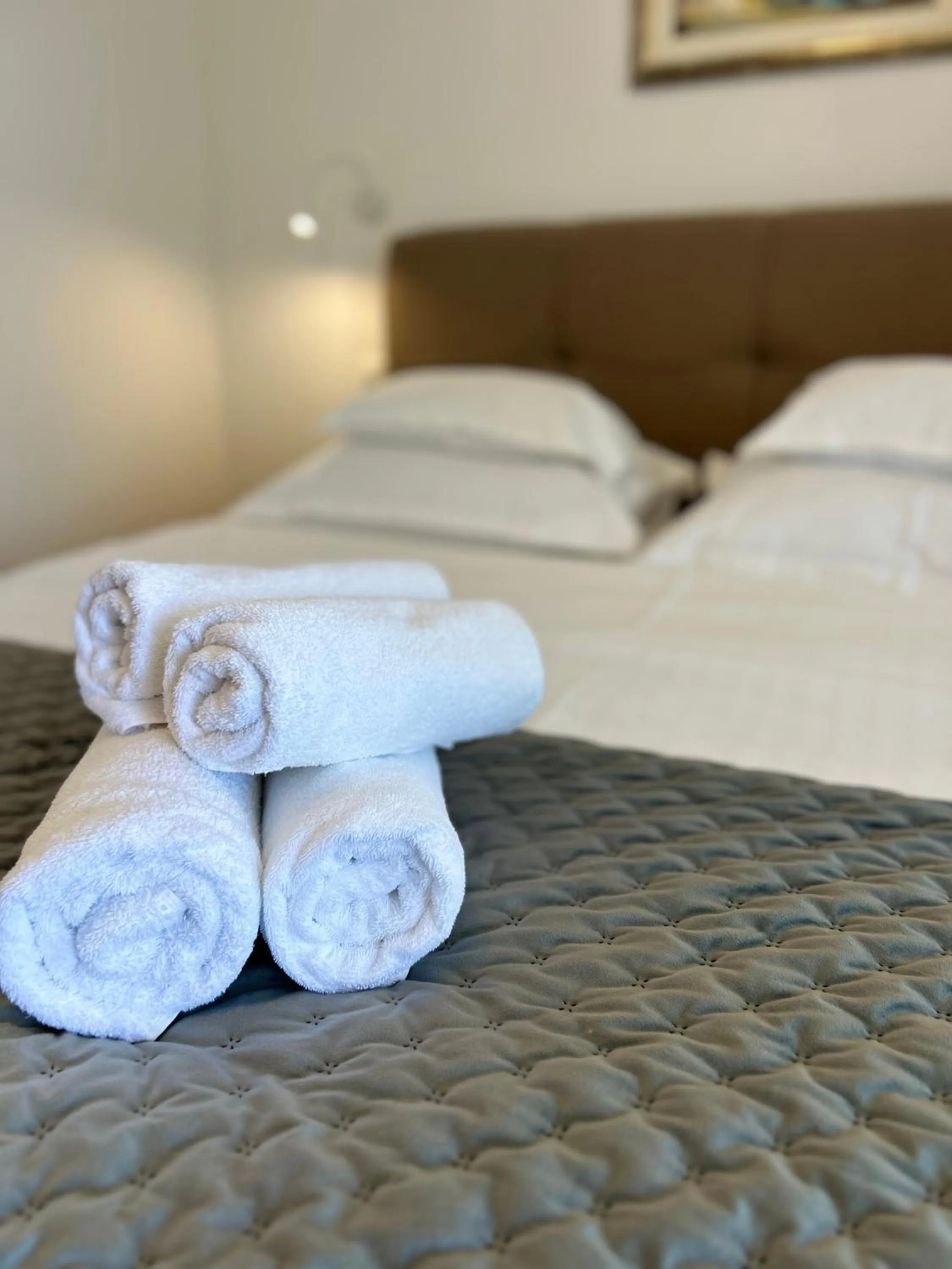 Bed in Hotel Vila Tina