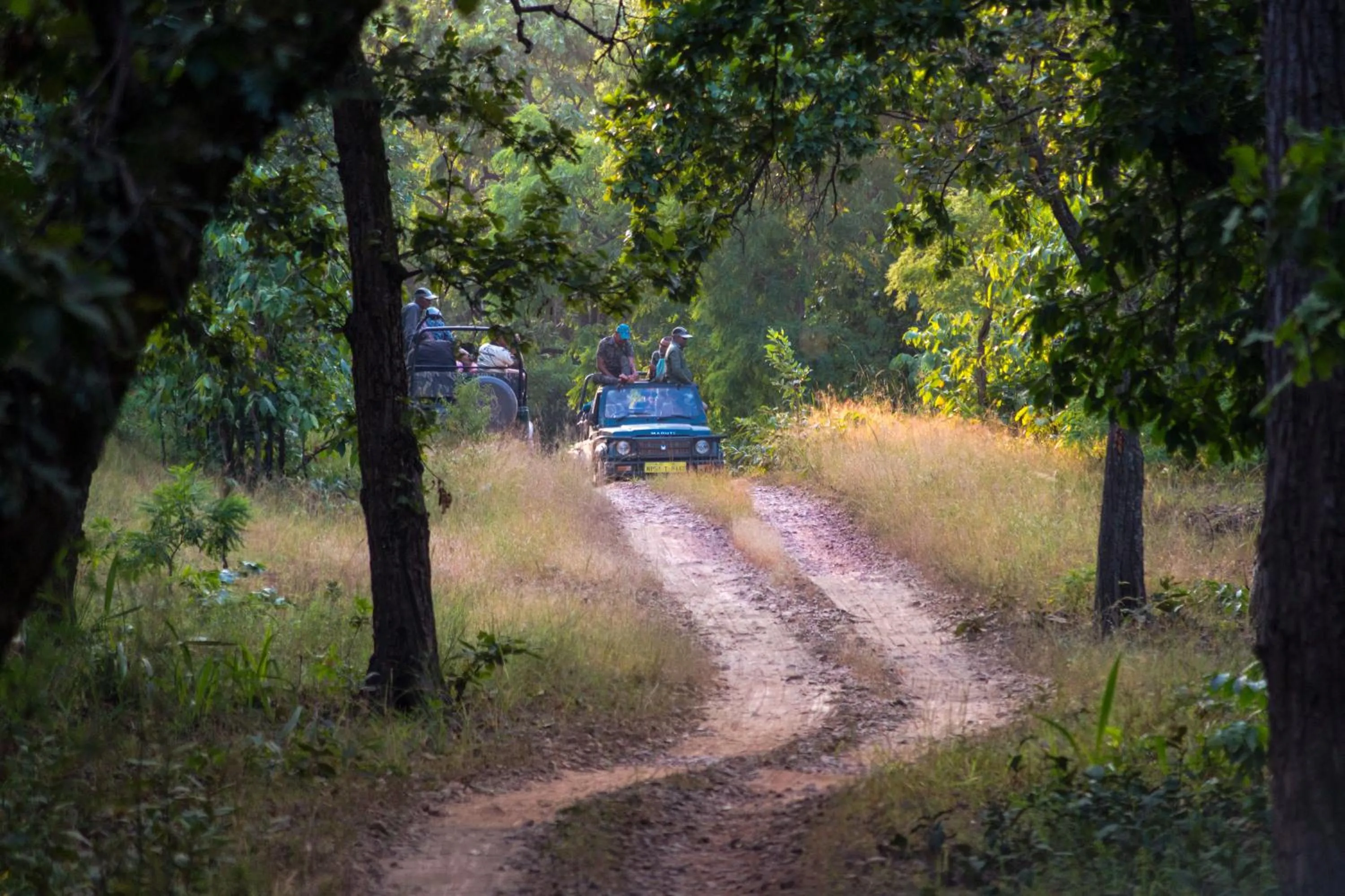 Natural landscape in Syna Tiger Resort Bandhavgarh